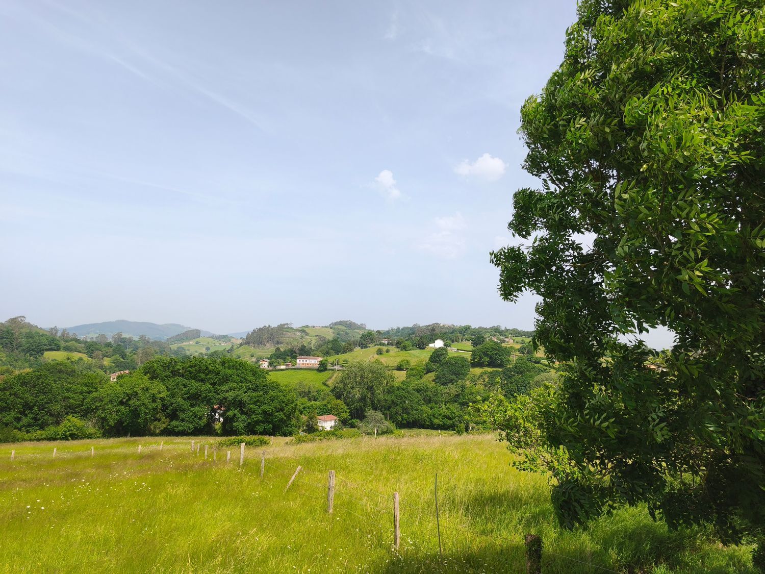Fincas y solares-Venta-Siero-2412749-Foto-9