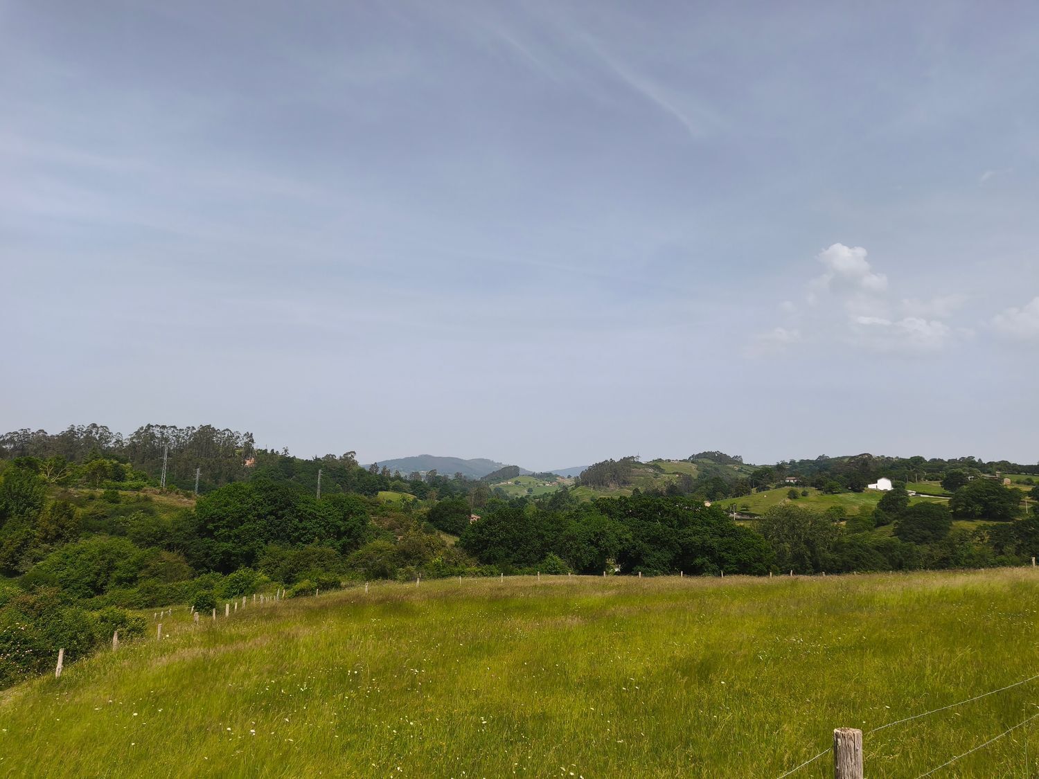 Fincas y solares-Venta-Siero-2412749-Foto-12