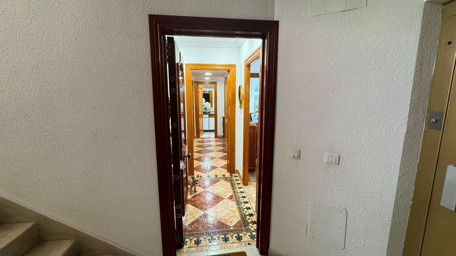 Pisos-Venta-VÃ©lez-MÃ¡laga-2412968-Foto-33
