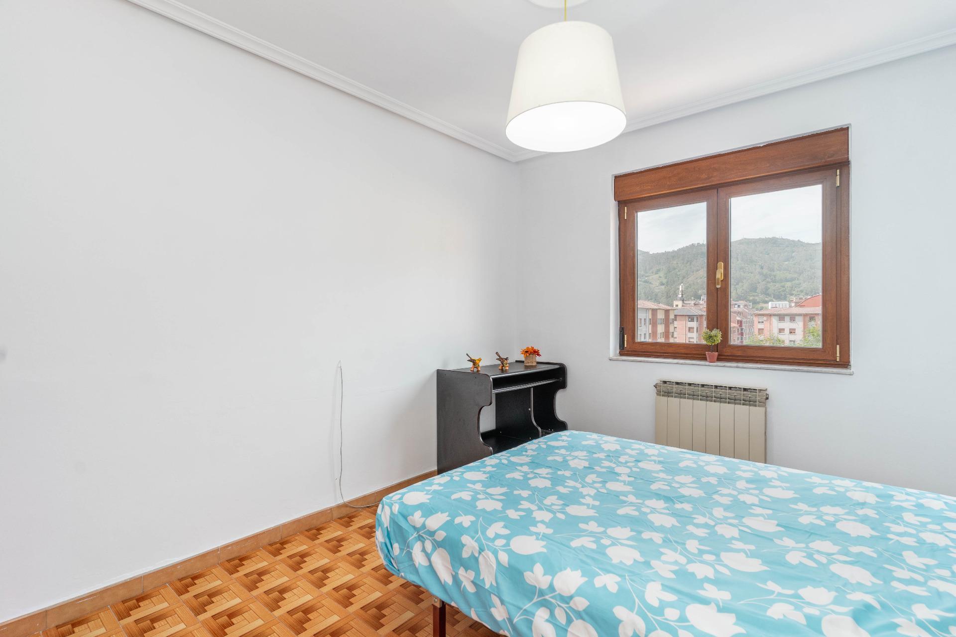 Pisos-Venta-Mieres-2412929-Foto-24