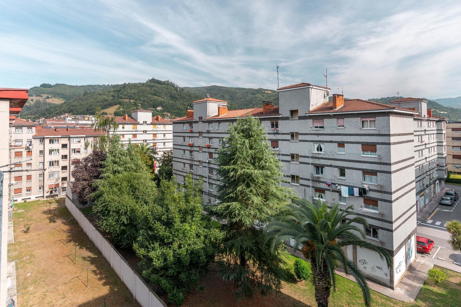 Pisos-Venta-Mieres-2412929-Foto-35