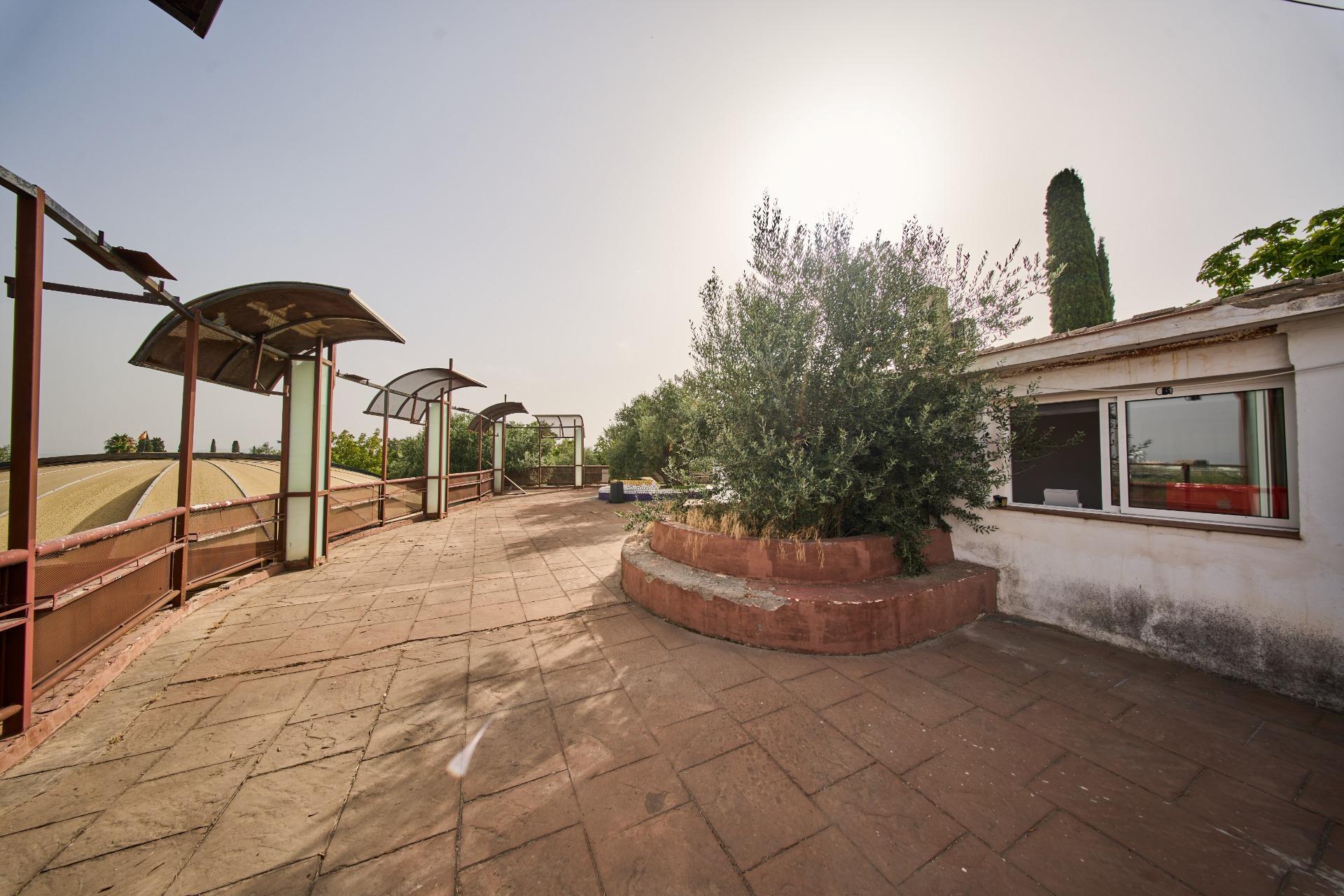 Pisos-Venta-Villa de Otura-2412767-Foto-17