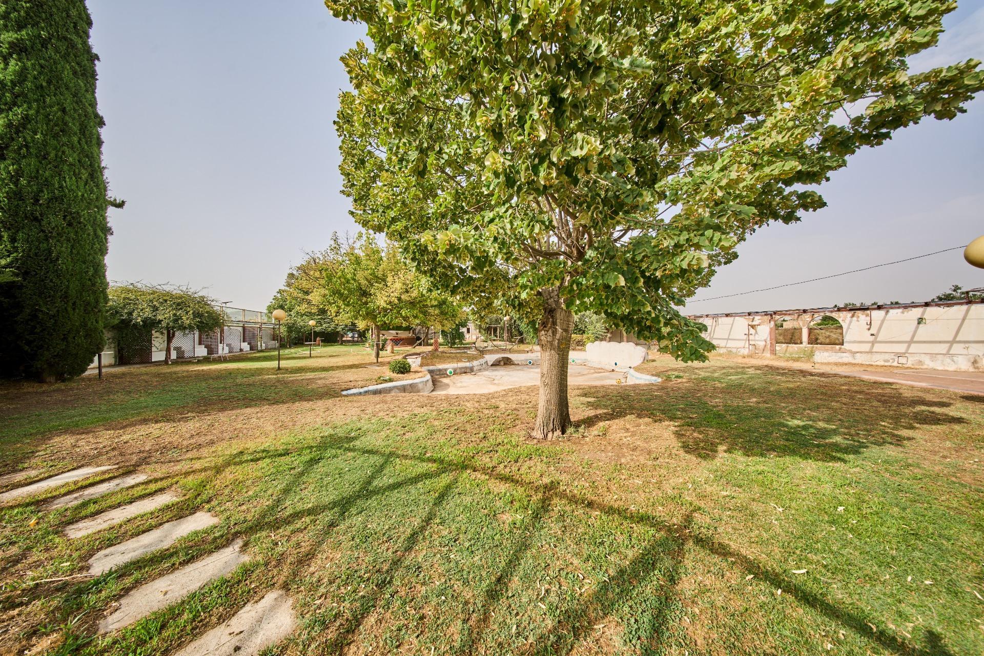 Pisos-Venta-Villa de Otura-2412767-Foto-20
