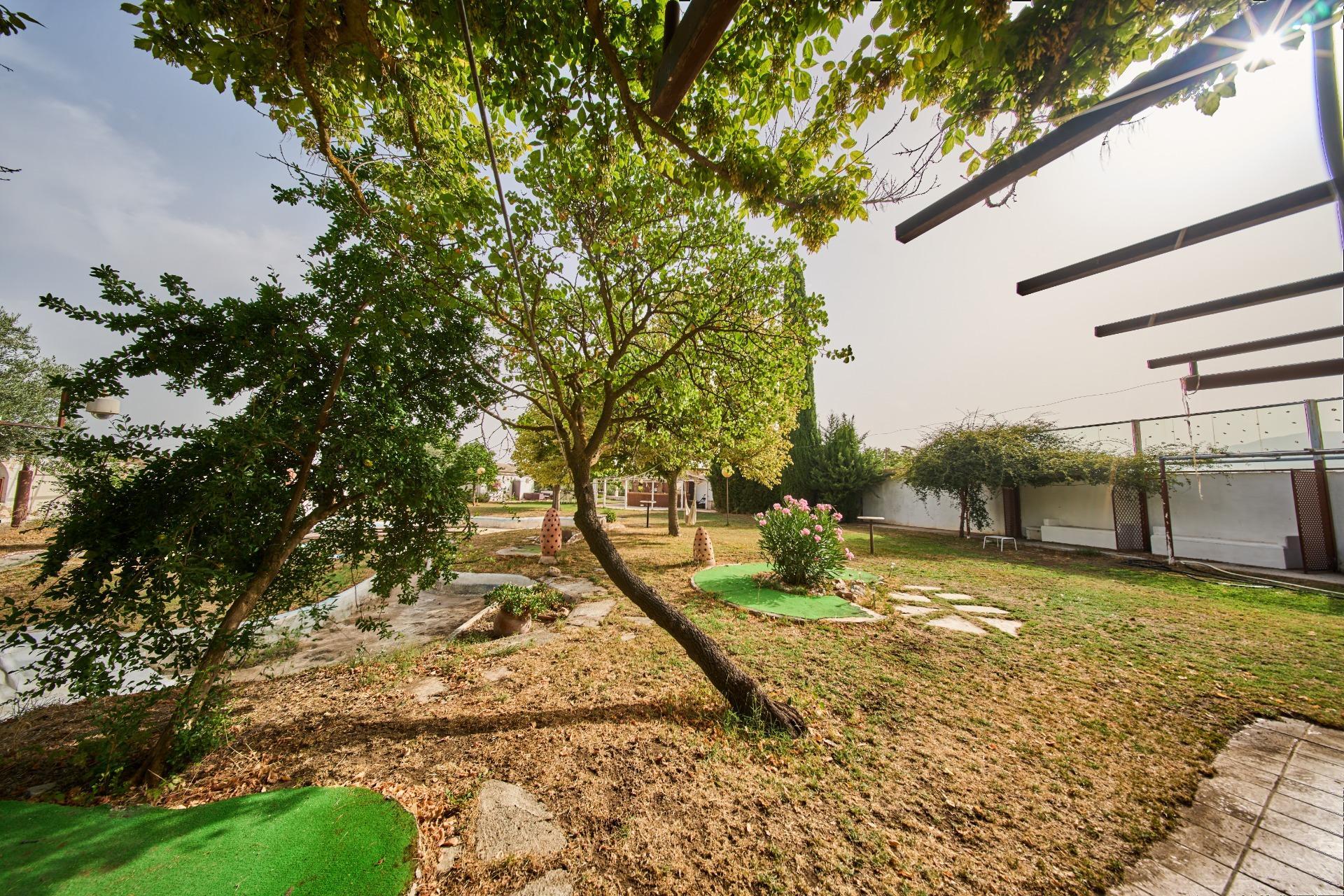 Pisos-Venta-Villa de Otura-2412767-Foto-24