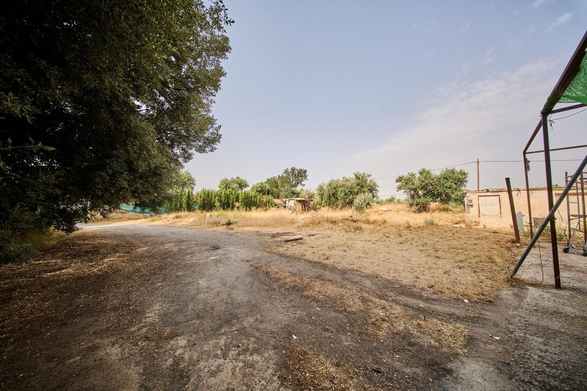 Pisos-Venta-Villa de Otura-2412767-Foto-31