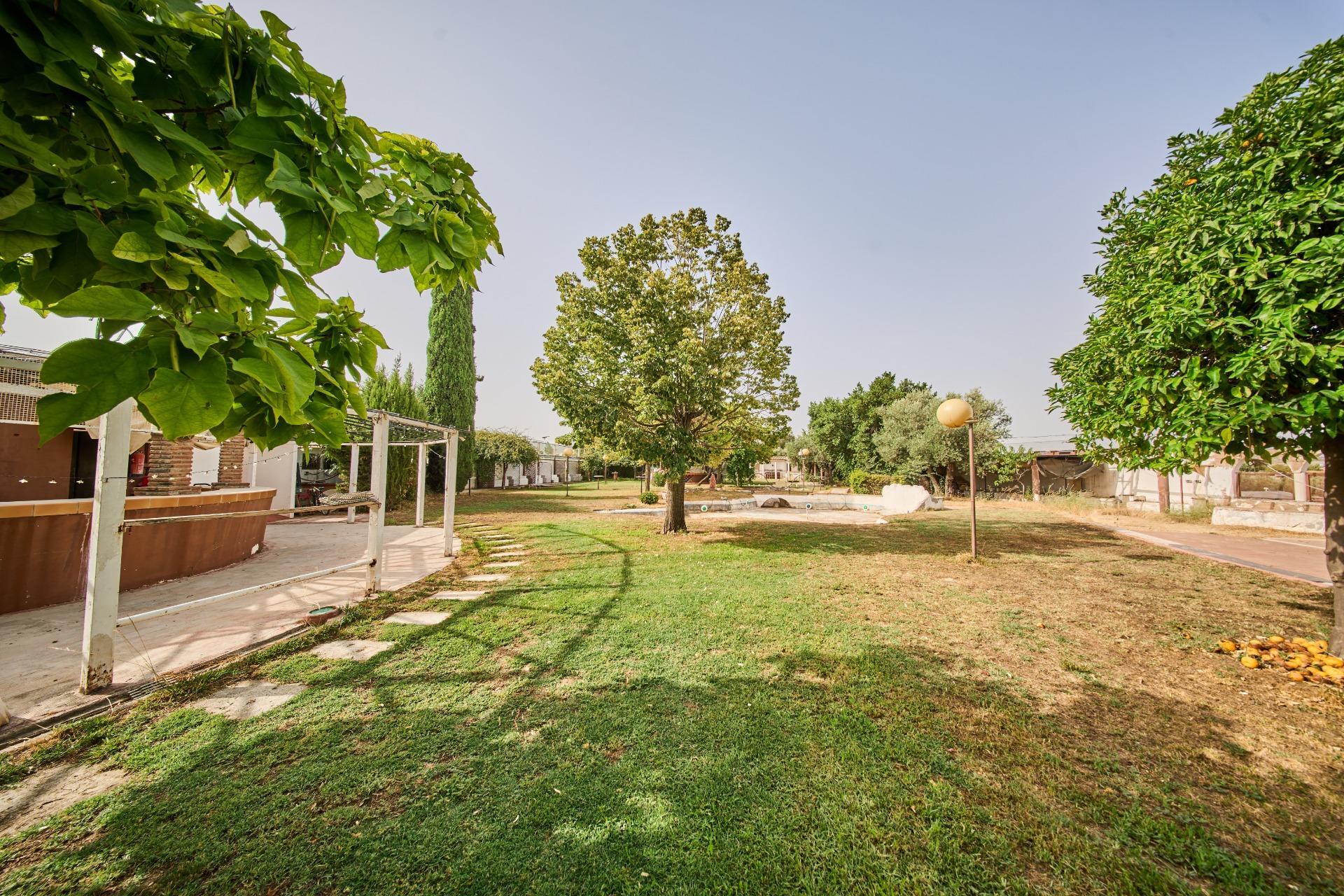 Pisos-Venta-Villa de Otura-2412767-Foto-40