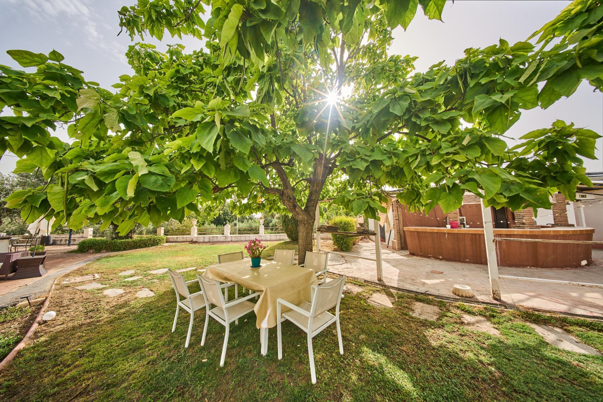 Pisos-Venta-Villa de Otura-2412767-Foto-39