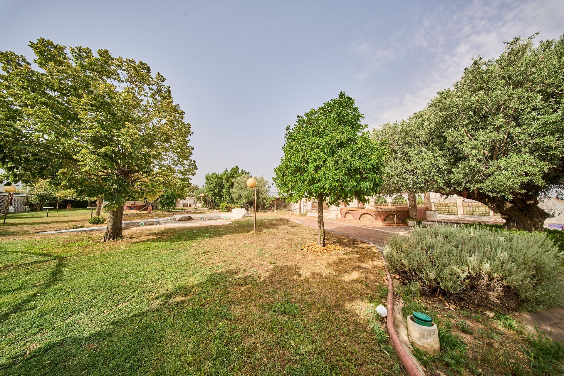 Pisos-Venta-Villa de Otura-2412767-Foto-41
