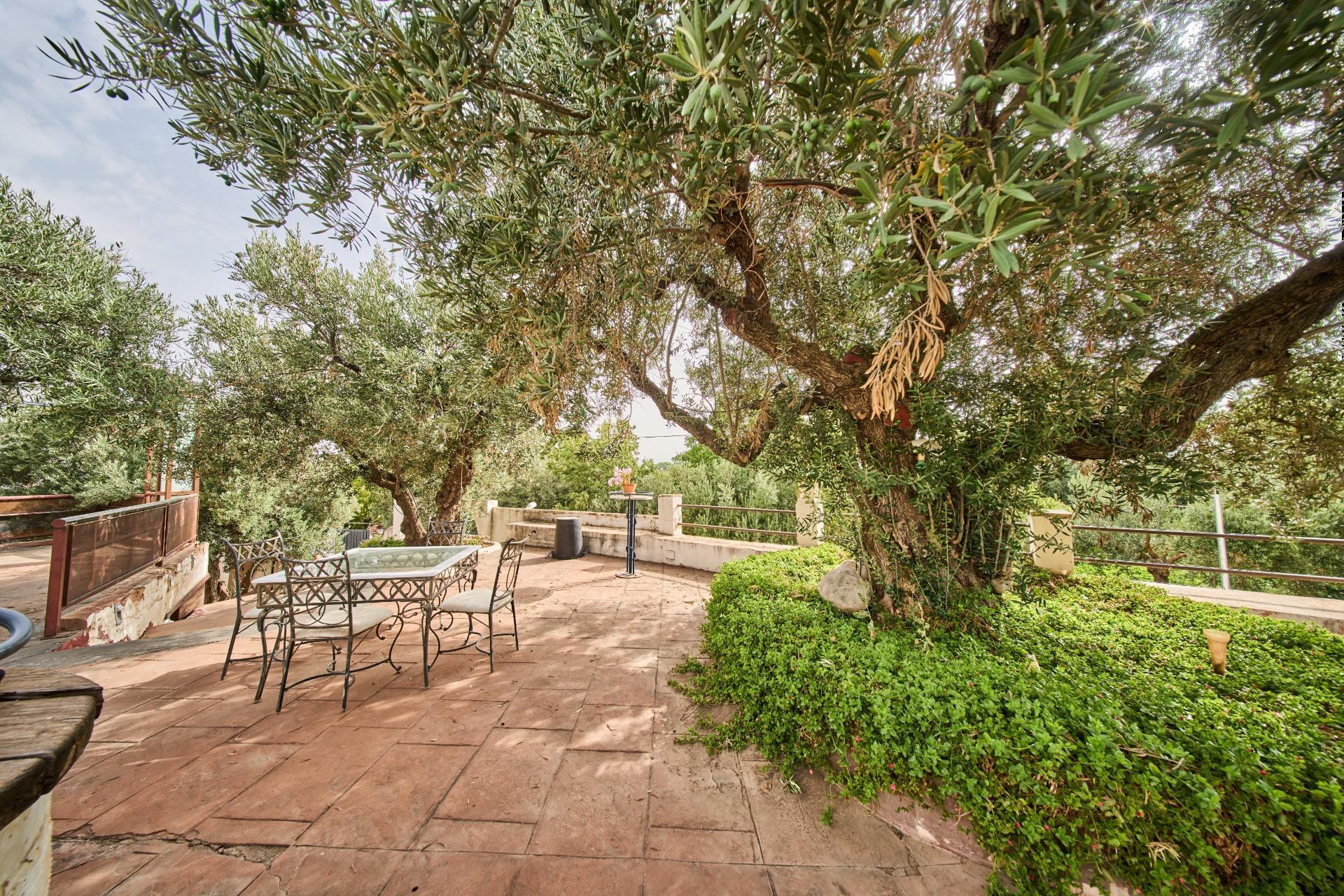 Pisos-Venta-Villa de Otura-2412767-Foto-57
