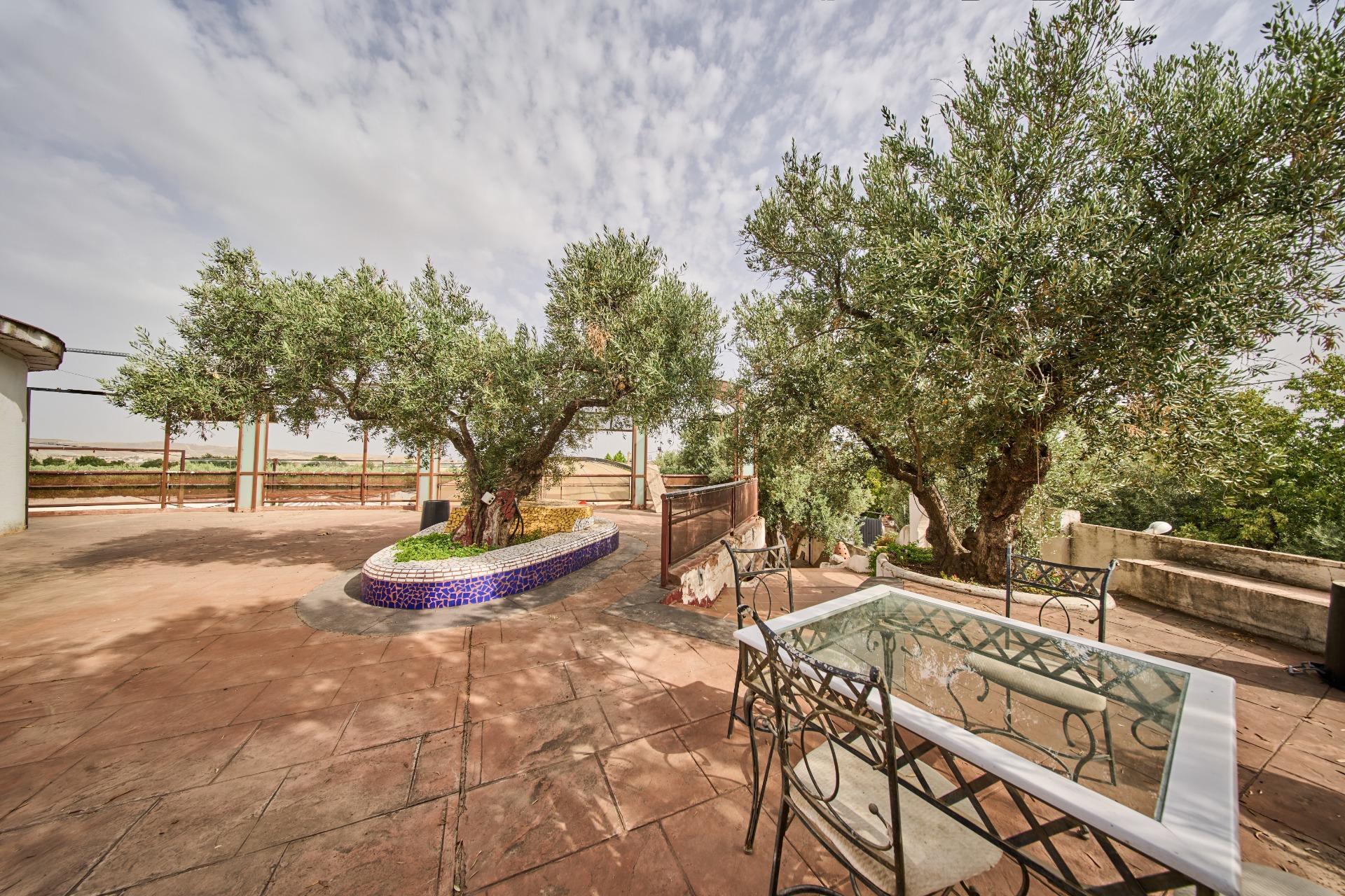 Pisos-Venta-Villa de Otura-2412767-Foto-58