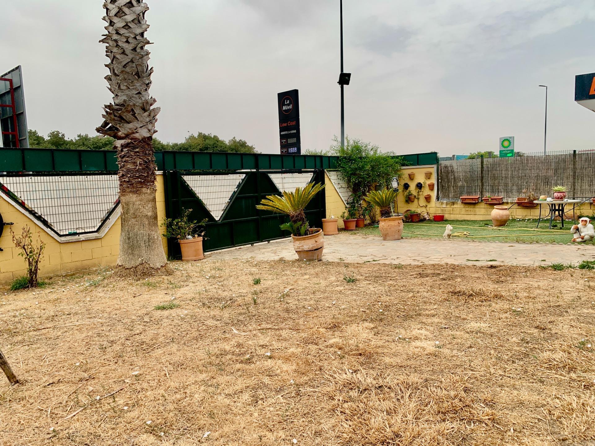 Casas o chalets-Venta-Lora del RÃ­o-2412791-Foto-7