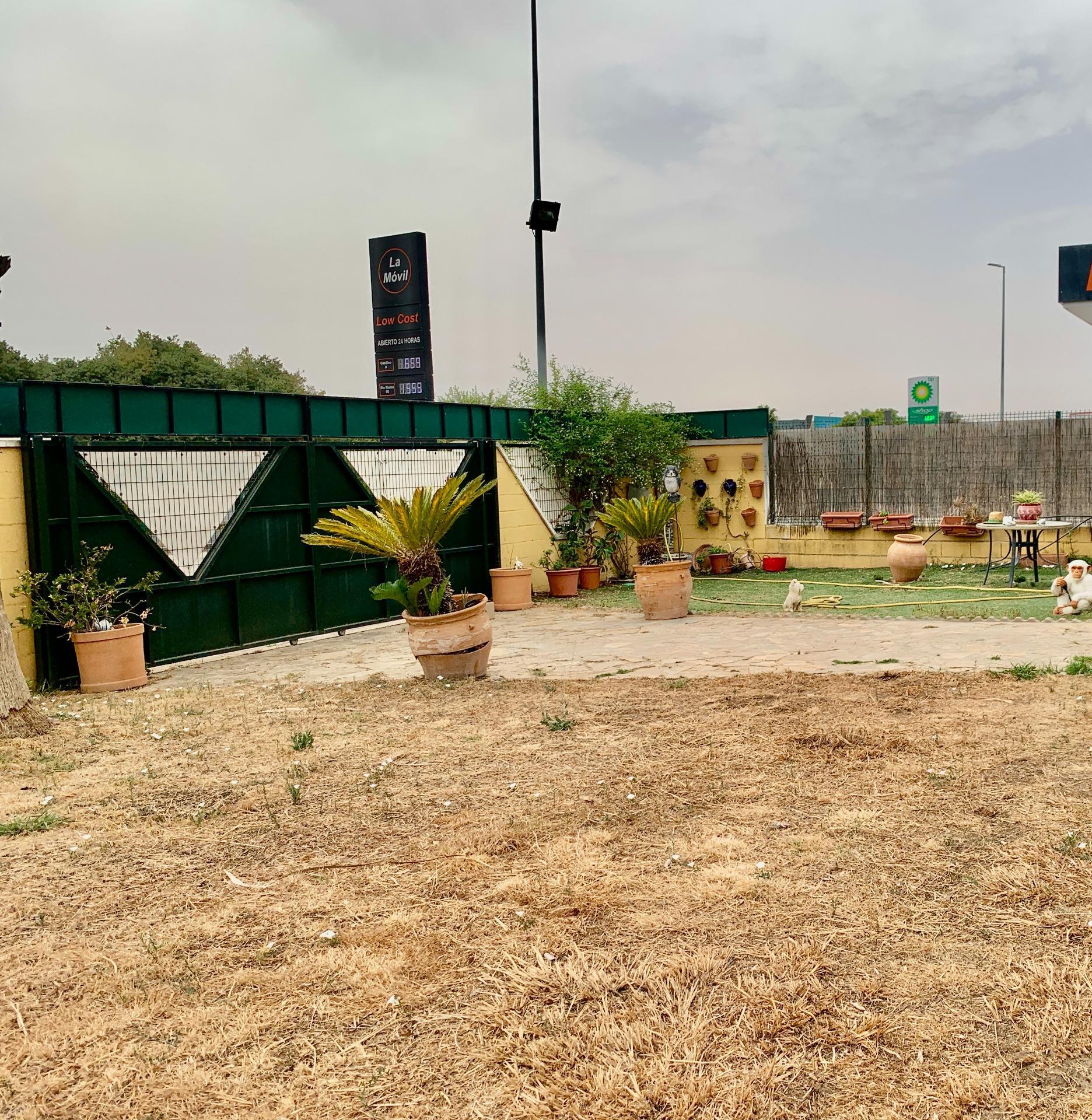 Casas o chalets-Venta-Lora del RÃ­o-2412791-Foto-6