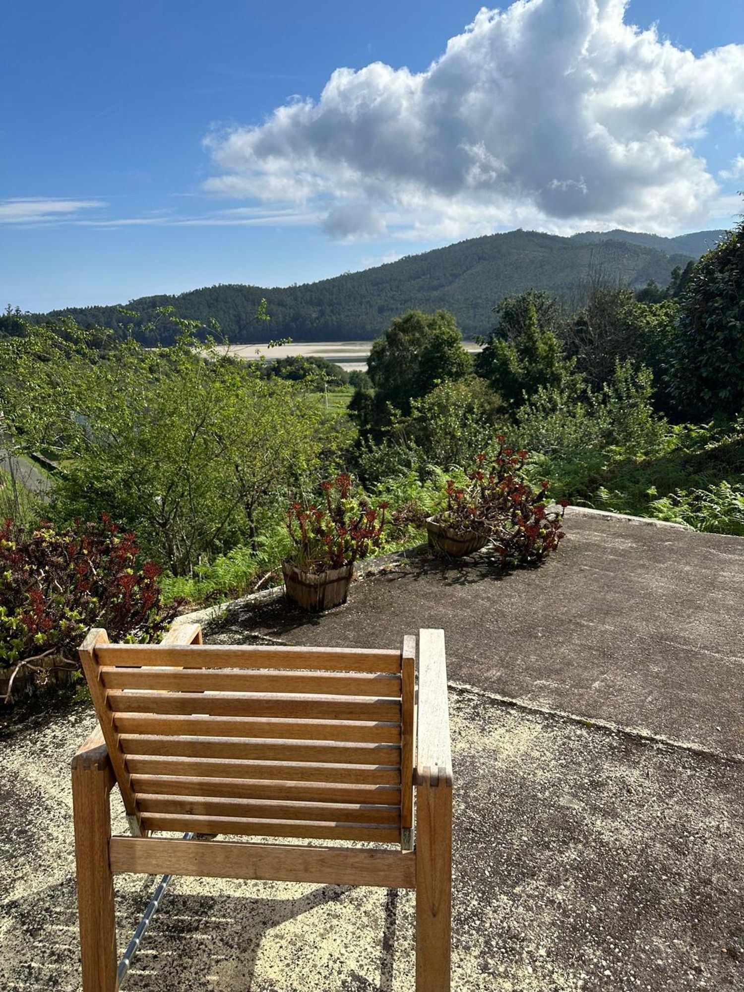 Casas o chalets-Venta-MaÃ±Ã³n-2412776-Foto-5