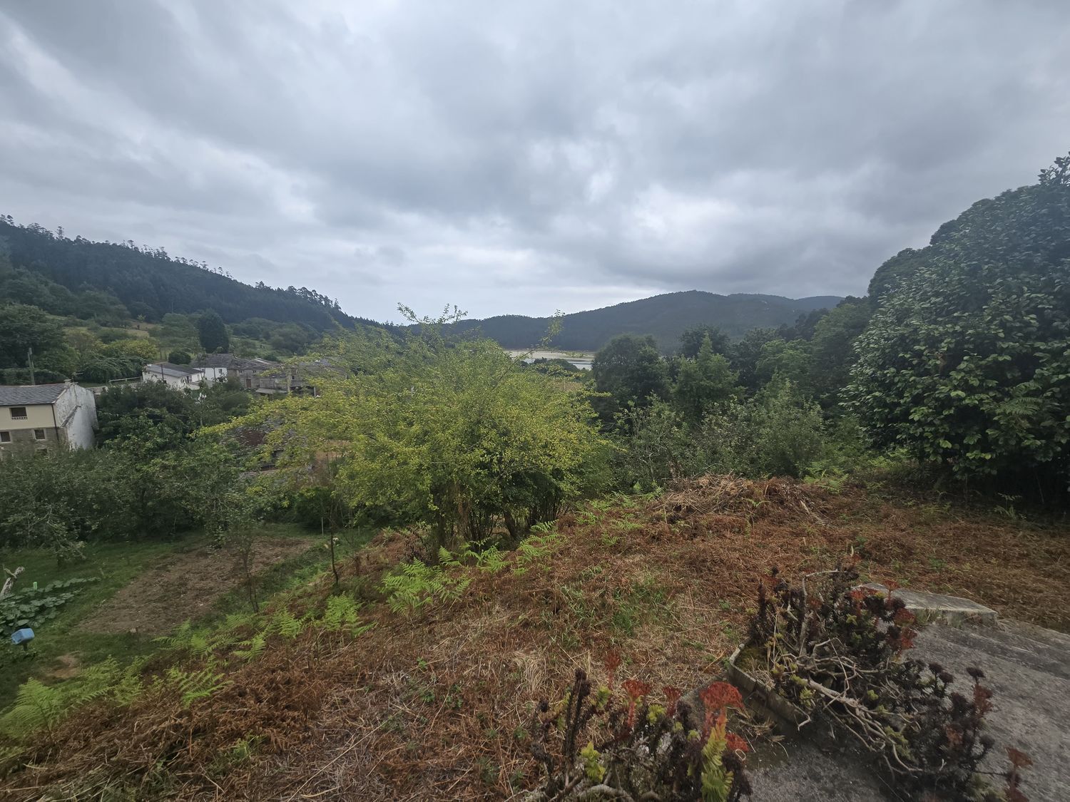 Casas o chalets-Venta-MaÃ±Ã³n-2412776-Foto-21