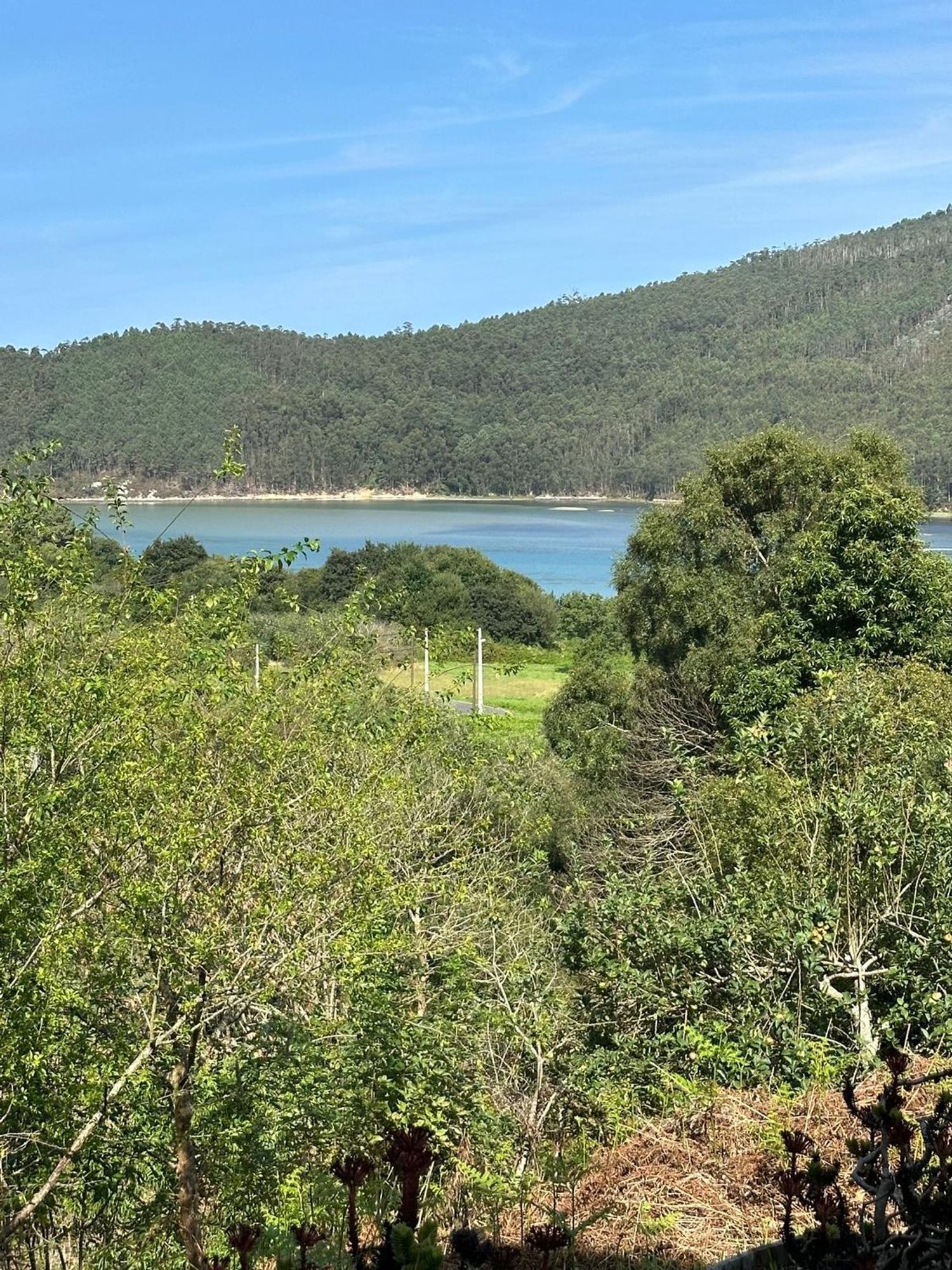 Casas o chalets-Venta-MaÃ±Ã³n-2412776-Foto-33