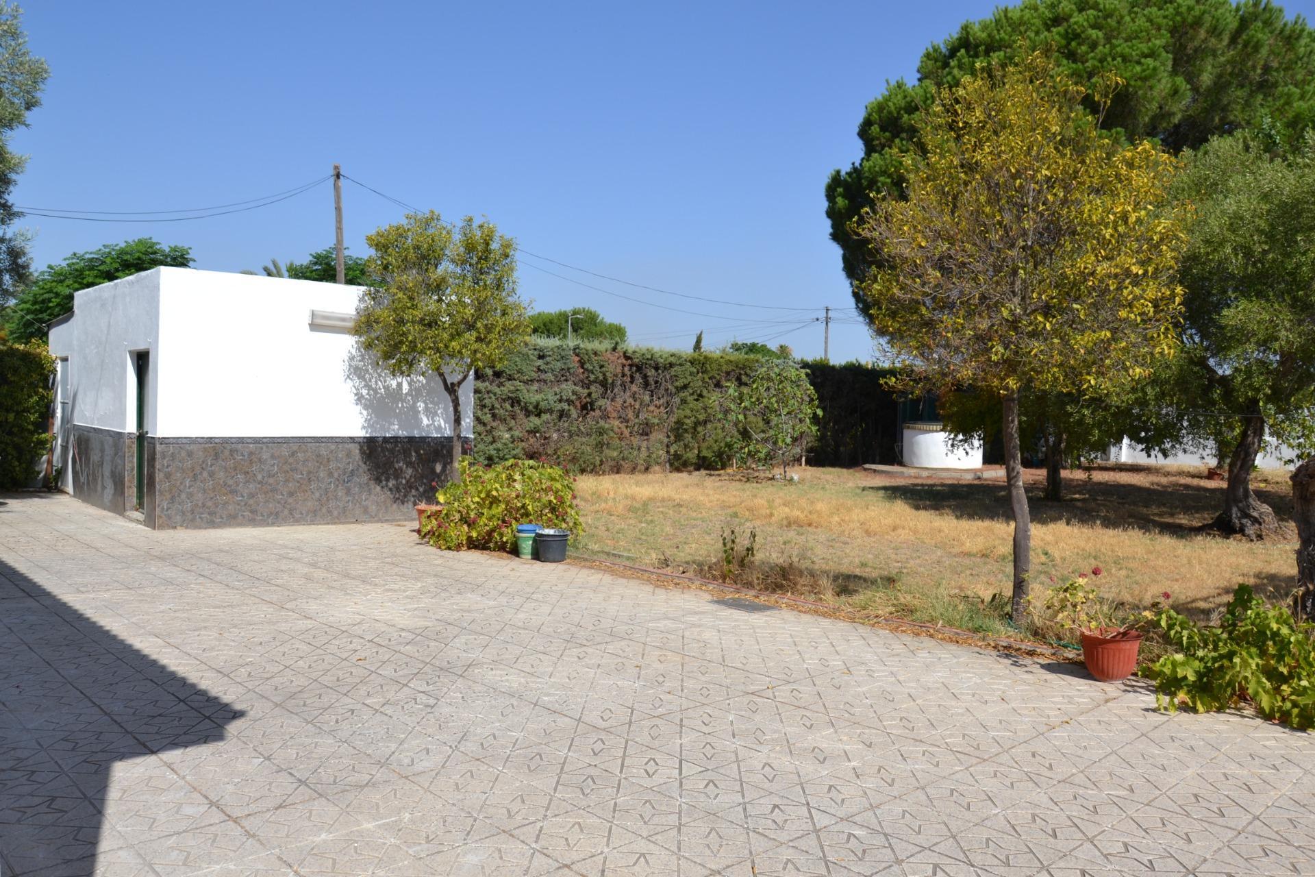 Pisos-Venta-Carmona-2414525-Foto-57