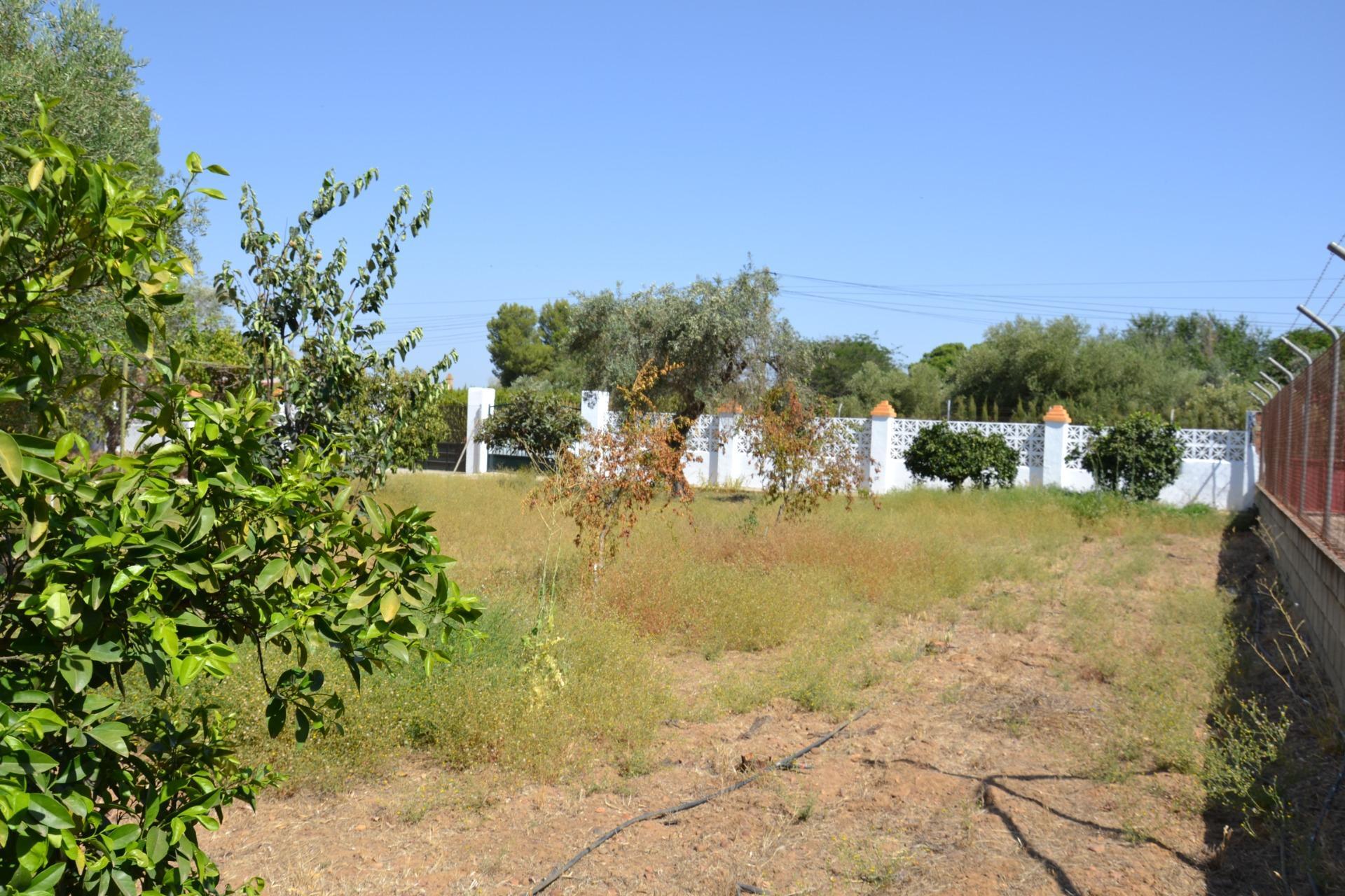 Pisos-Venta-Carmona-2414525-Foto-59