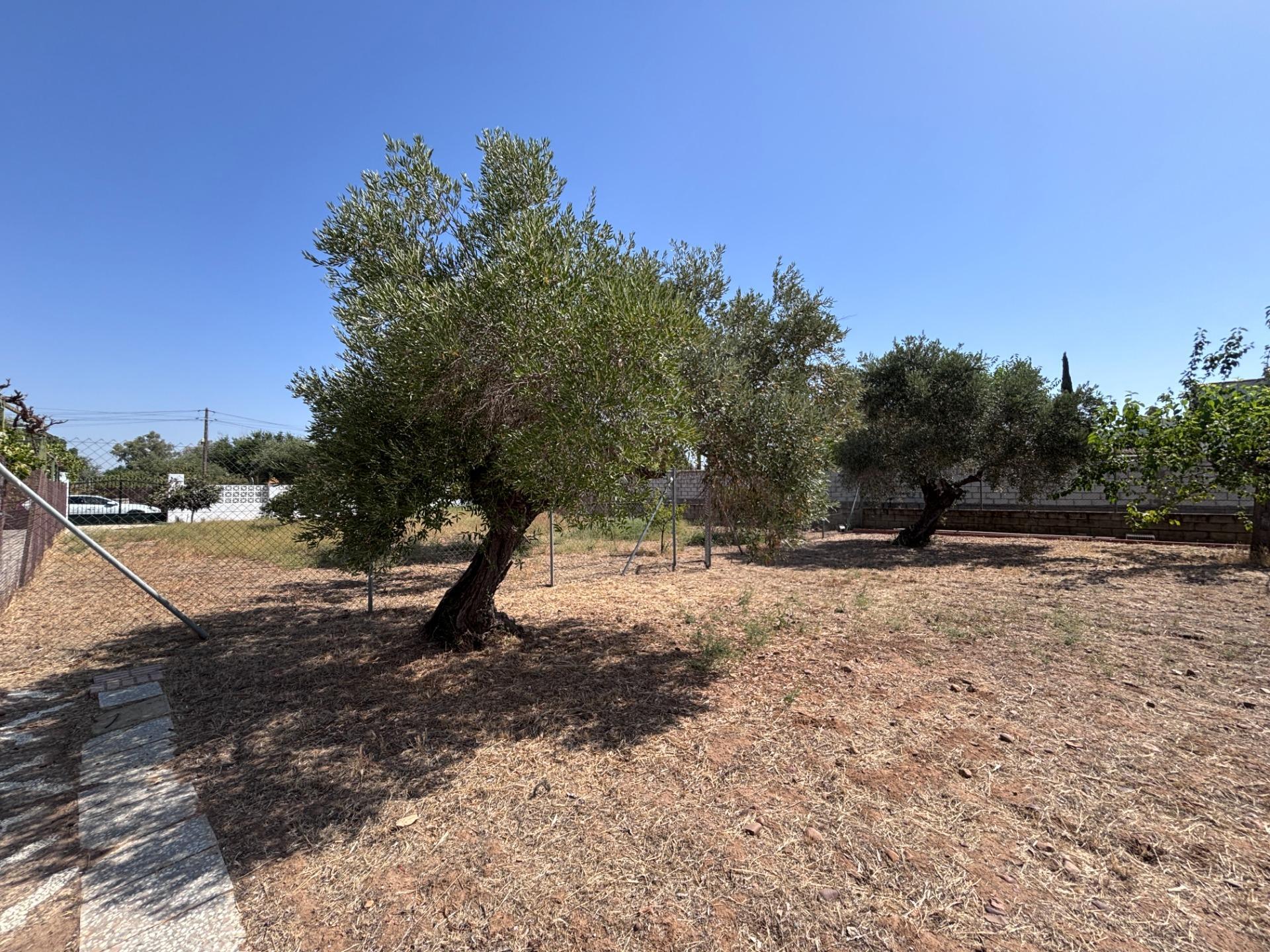 Pisos-Venta-Carmona-2414525-Foto-63