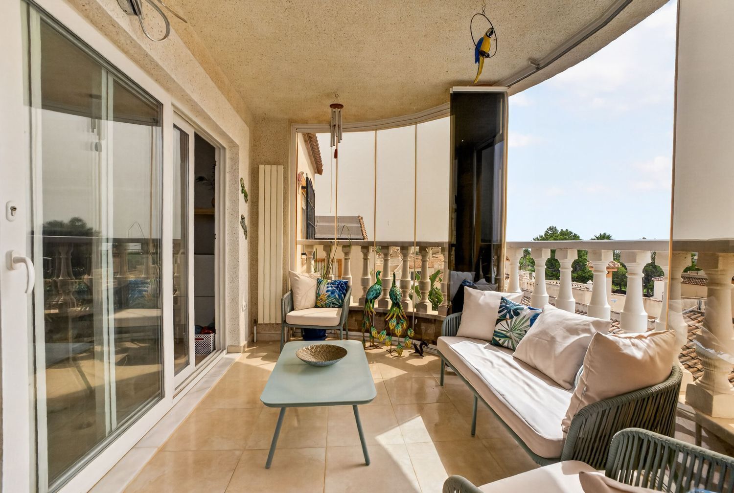 Casas o chalets-Venta-San Miguel de Salinas-2412794-Foto-5