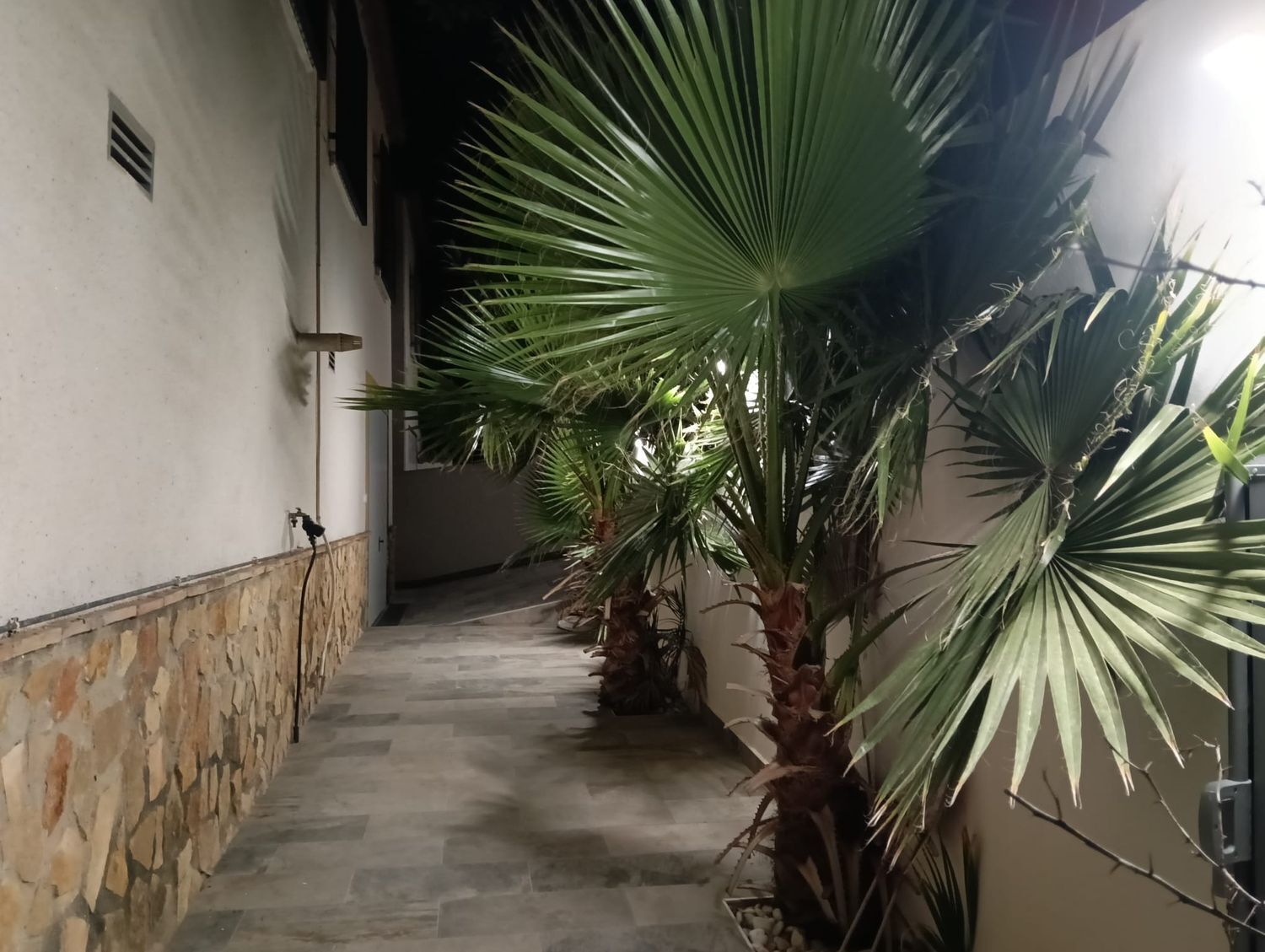 Casas o chalets-Venta-San Miguel de Salinas-2412794-Foto-52