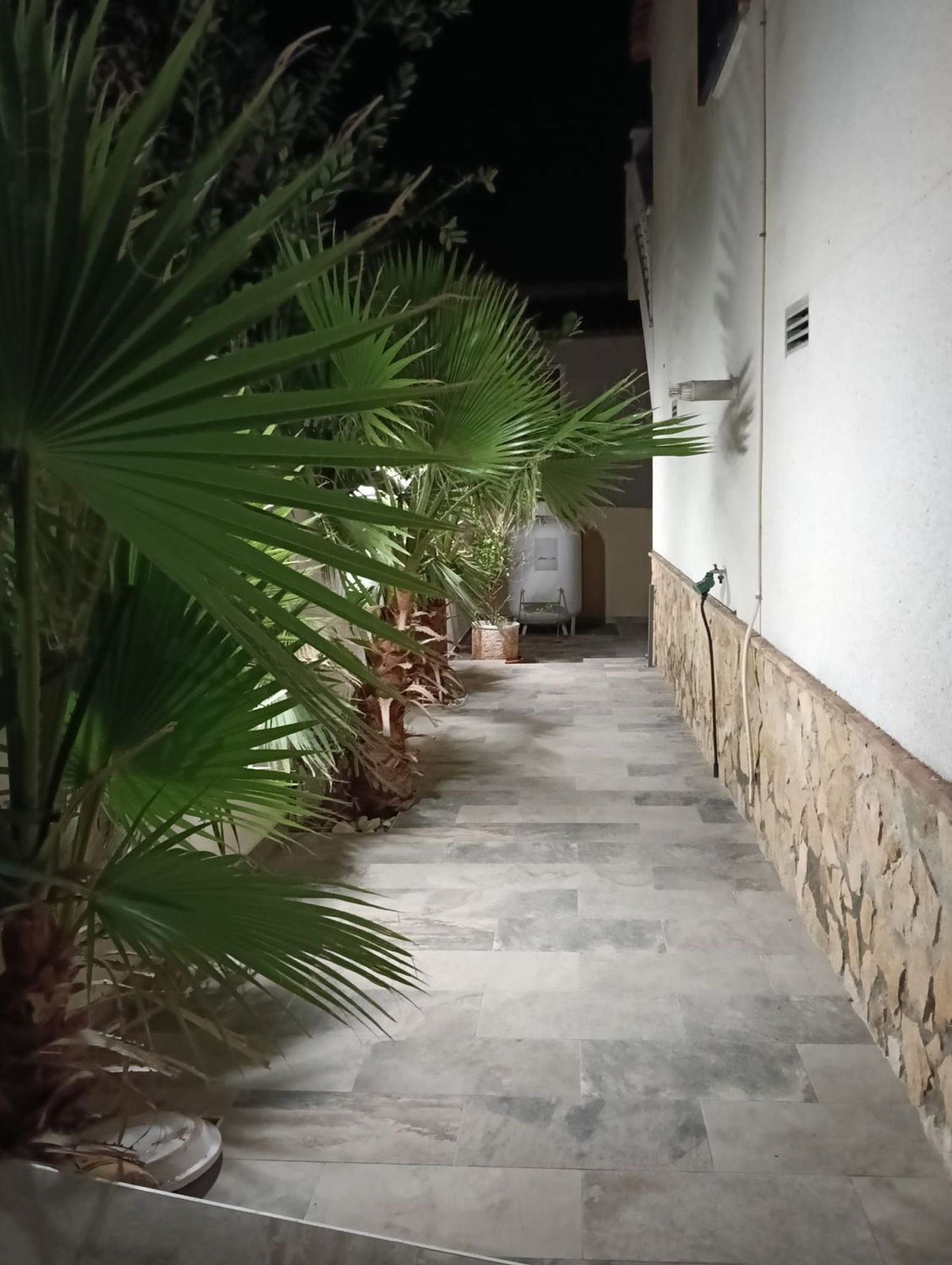 Casas o chalets-Venta-San Miguel de Salinas-2412794-Foto-53