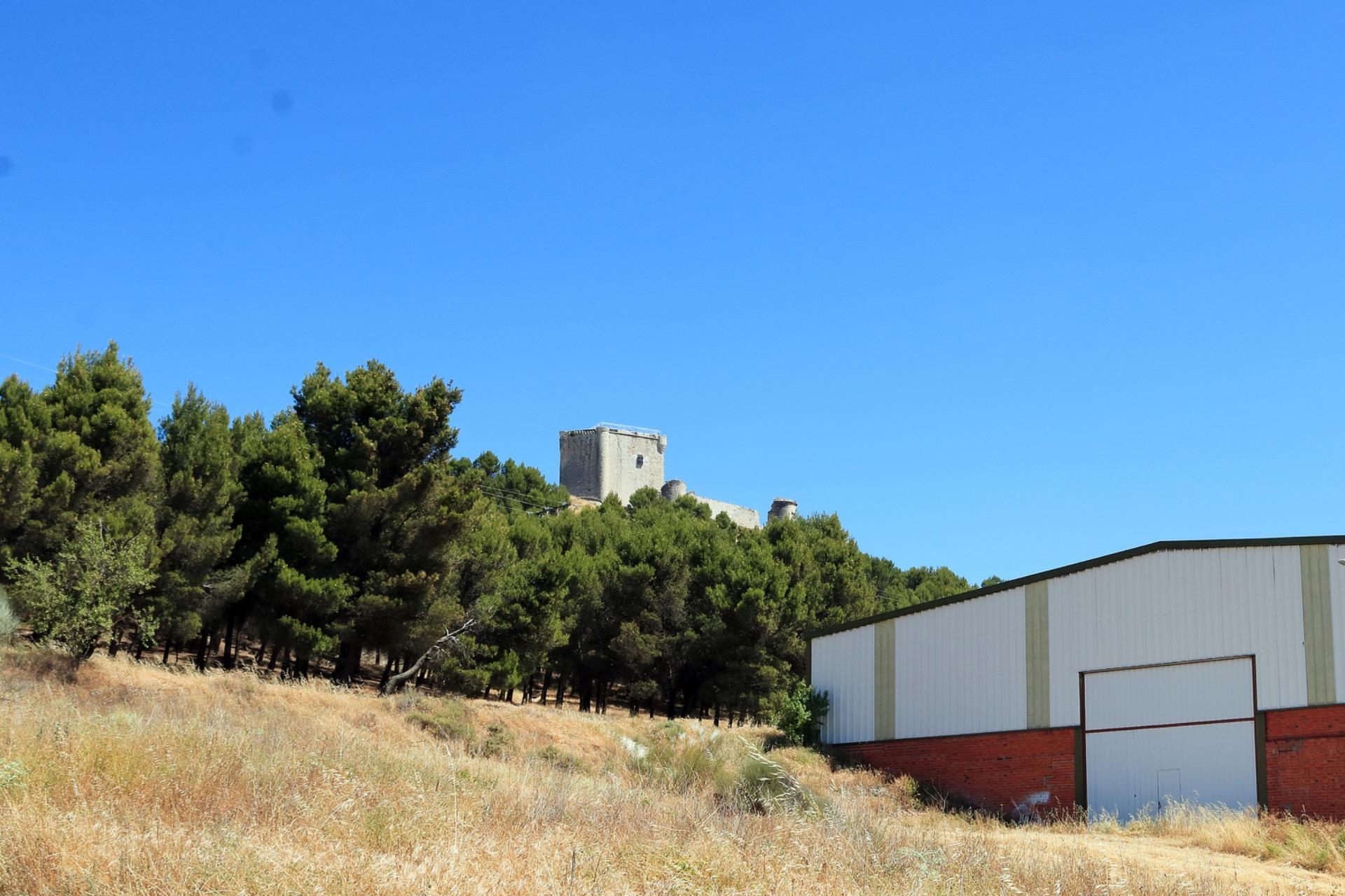 Fincas y solares-Venta-Íscar-2412824