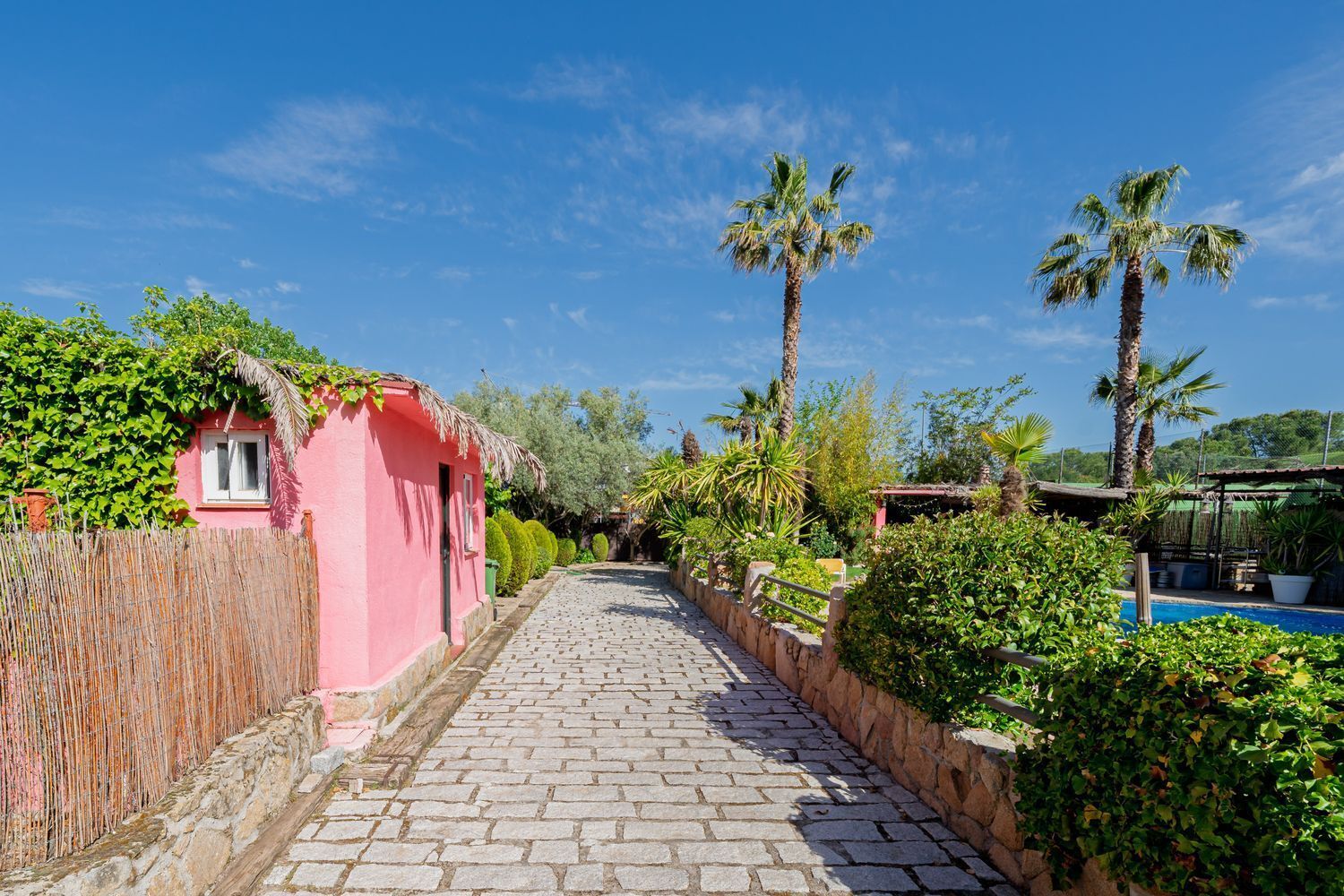 Casas o chalets-Venta-Las Rozas de Madrid-2414621-Foto-81
