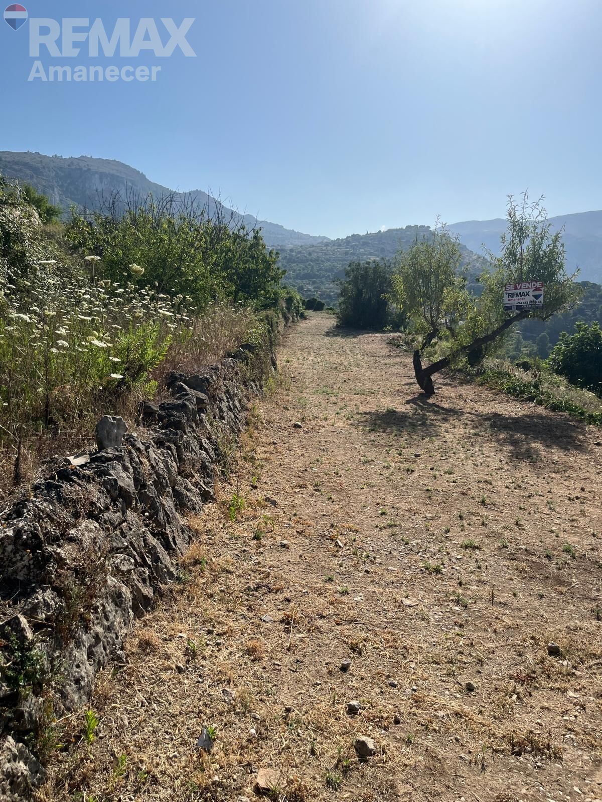 Fincas y solares-Venta-La Vall de Laguar-2426190