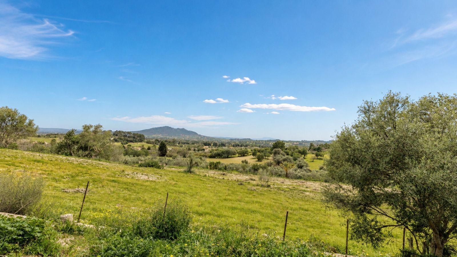 Suelo en venta, Moscari, Baleares/Islas Baleares, Baleares/Islas Baleares