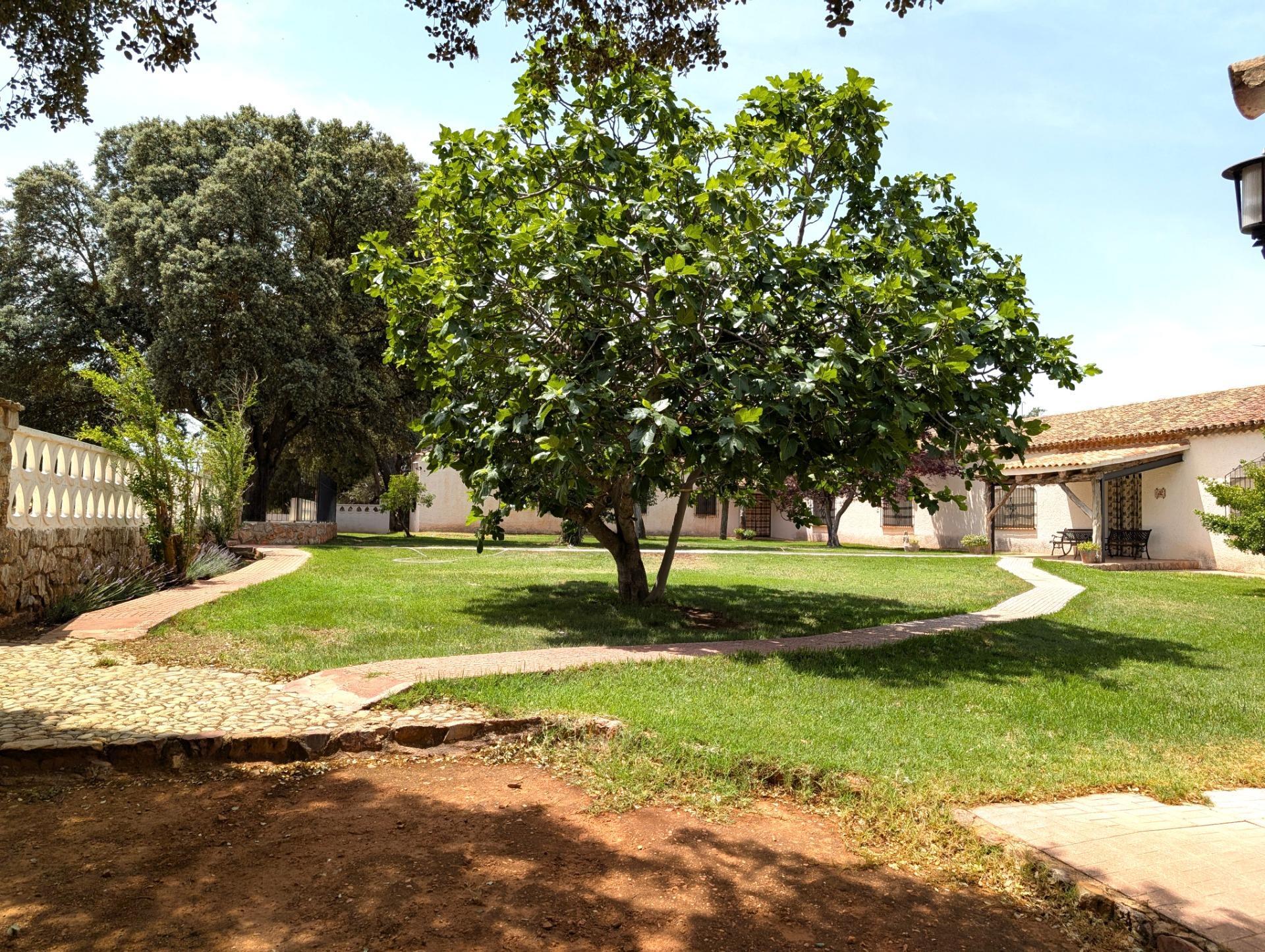 Casa rural en venta, Argamasilla de Alba, Ciudad Real