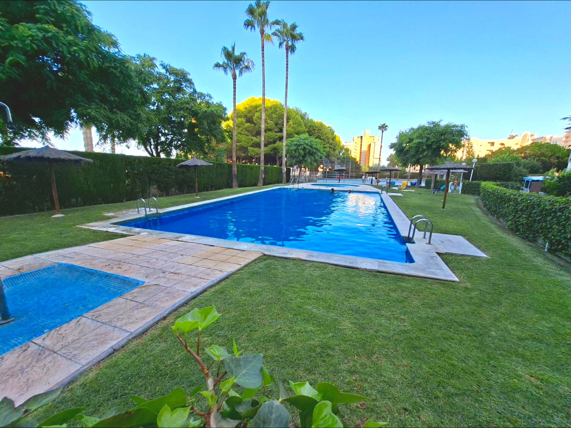 Piso en alquiler, Alacant / Alicante, Alicante/Alacant