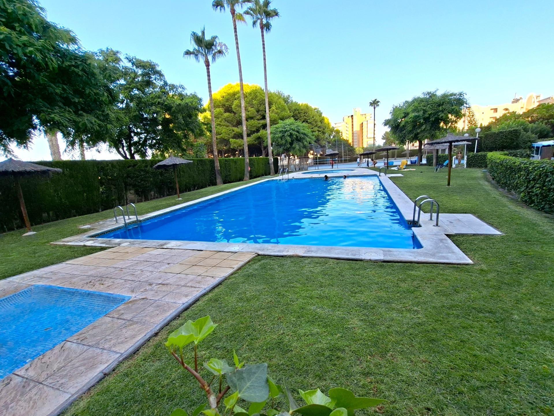 Piso en alquiler, Alacant / Alicante, Alicante/Alacant, Alicante/Alacant