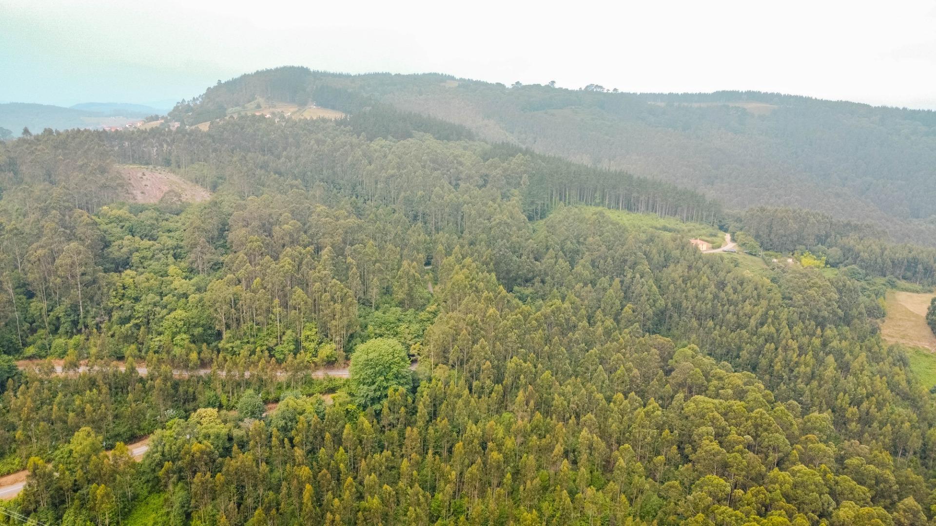 Casas o chalets-Venta-Pravia-2414537-Foto-80