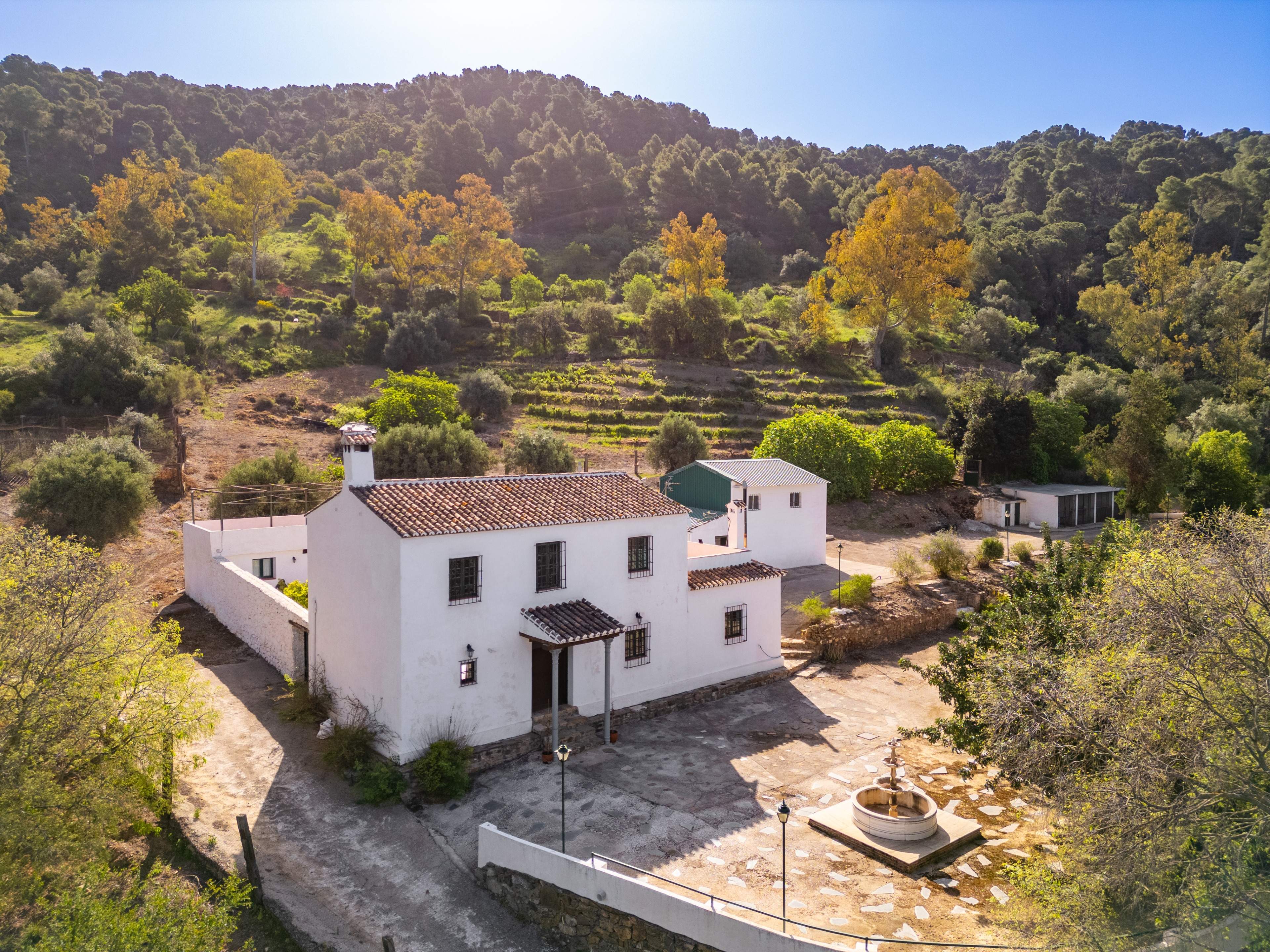 Casas o chalets-Venta-VÃ©lez-MÃ¡laga-2413760-Foto-40
