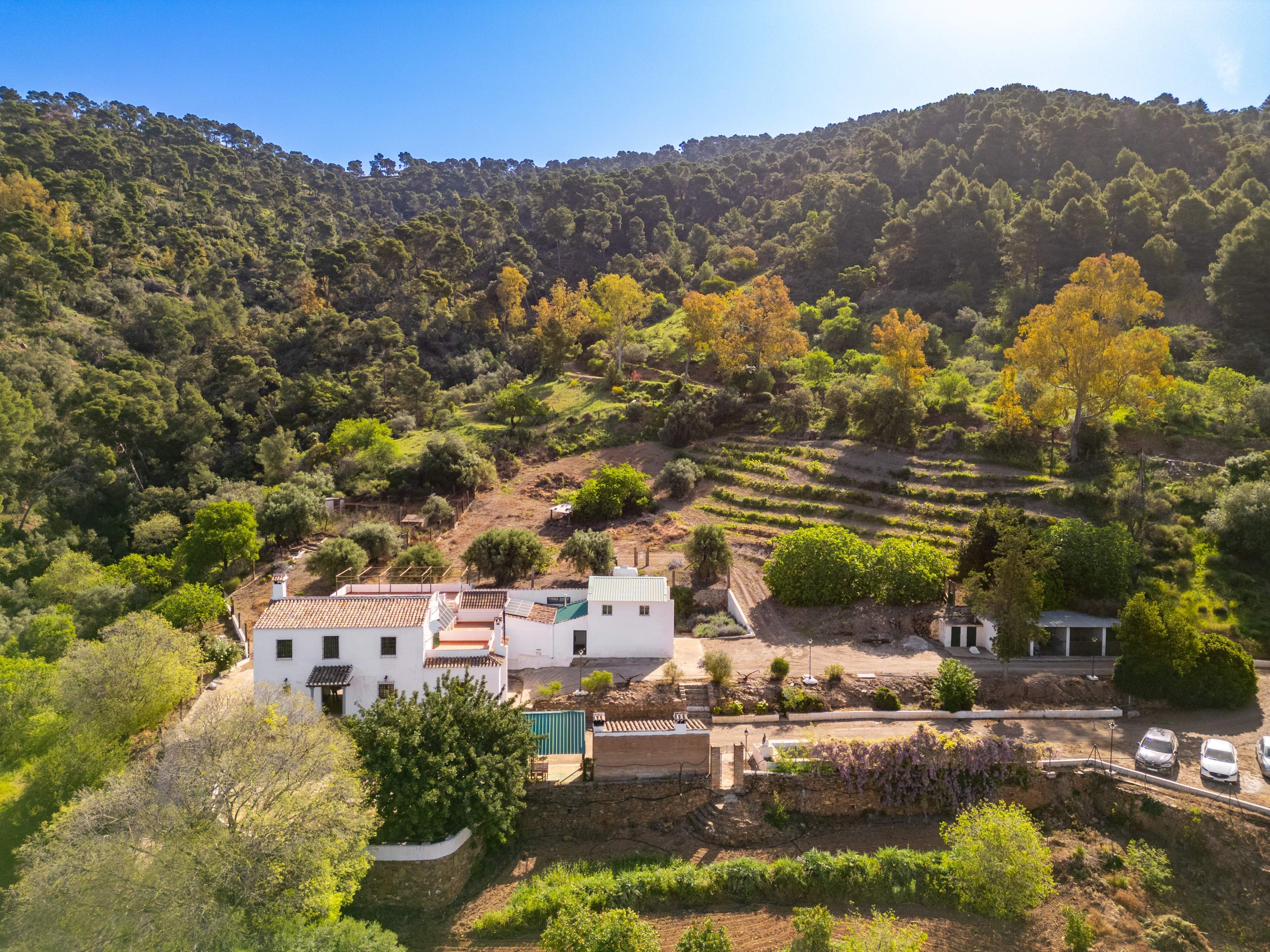 Casas o chalets-Venta-VÃ©lez-MÃ¡laga-2413760-Foto-50
