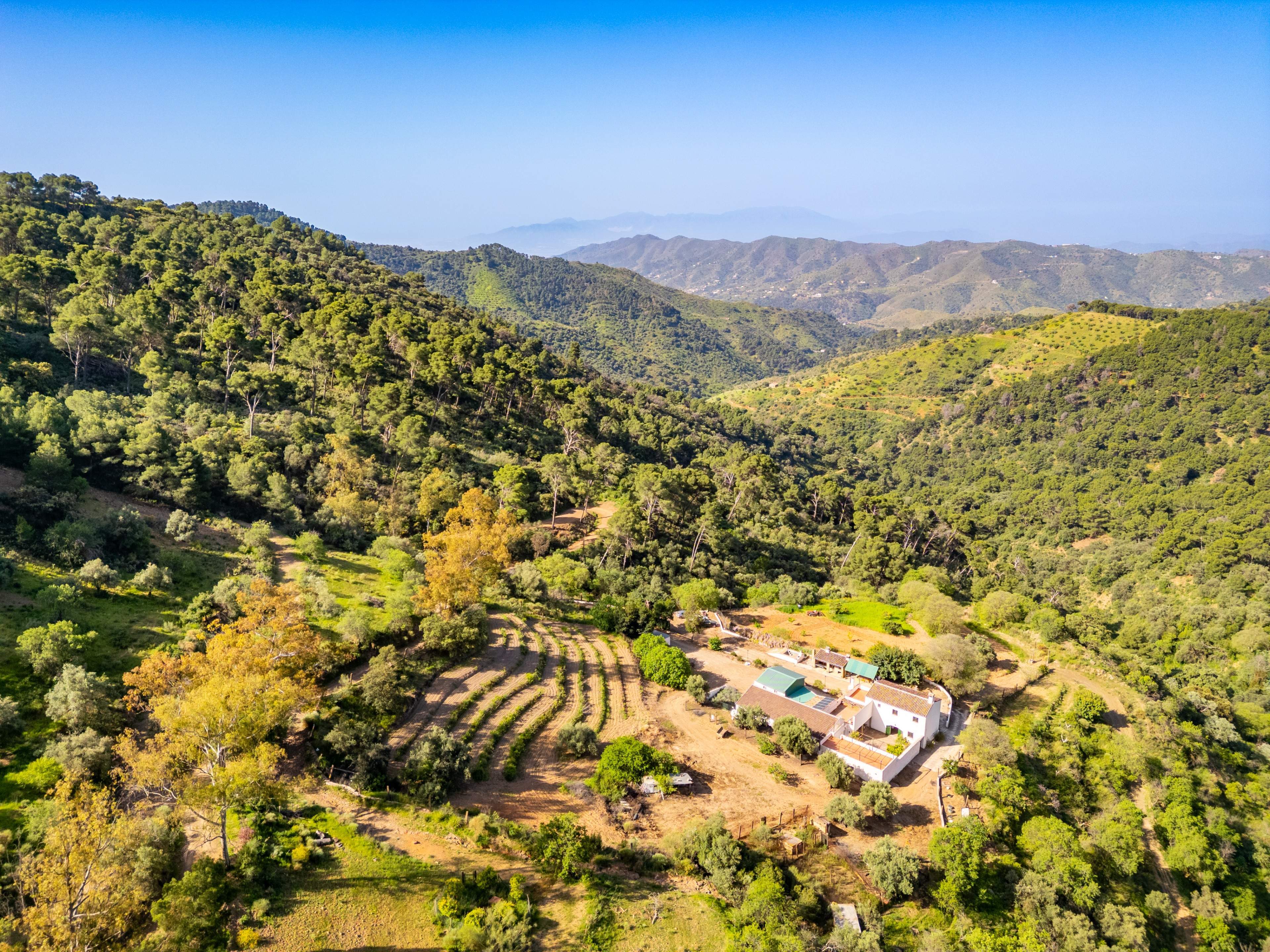 Casas o chalets-Venta-VÃ©lez-MÃ¡laga-2413760-Foto-51