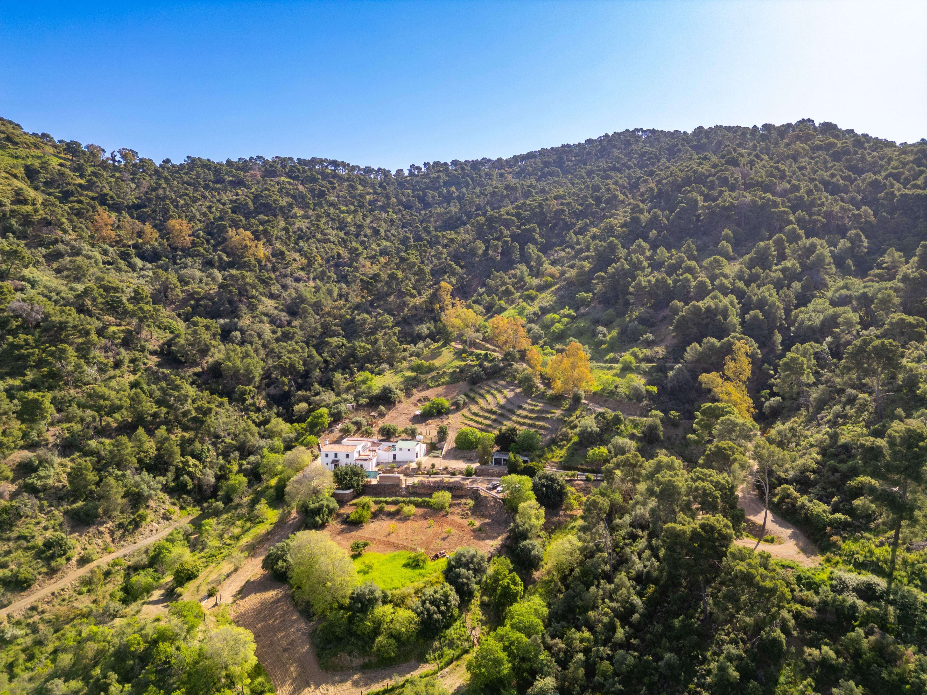 Casas o chalets-Venta-VÃ©lez-MÃ¡laga-2413760-Foto-53