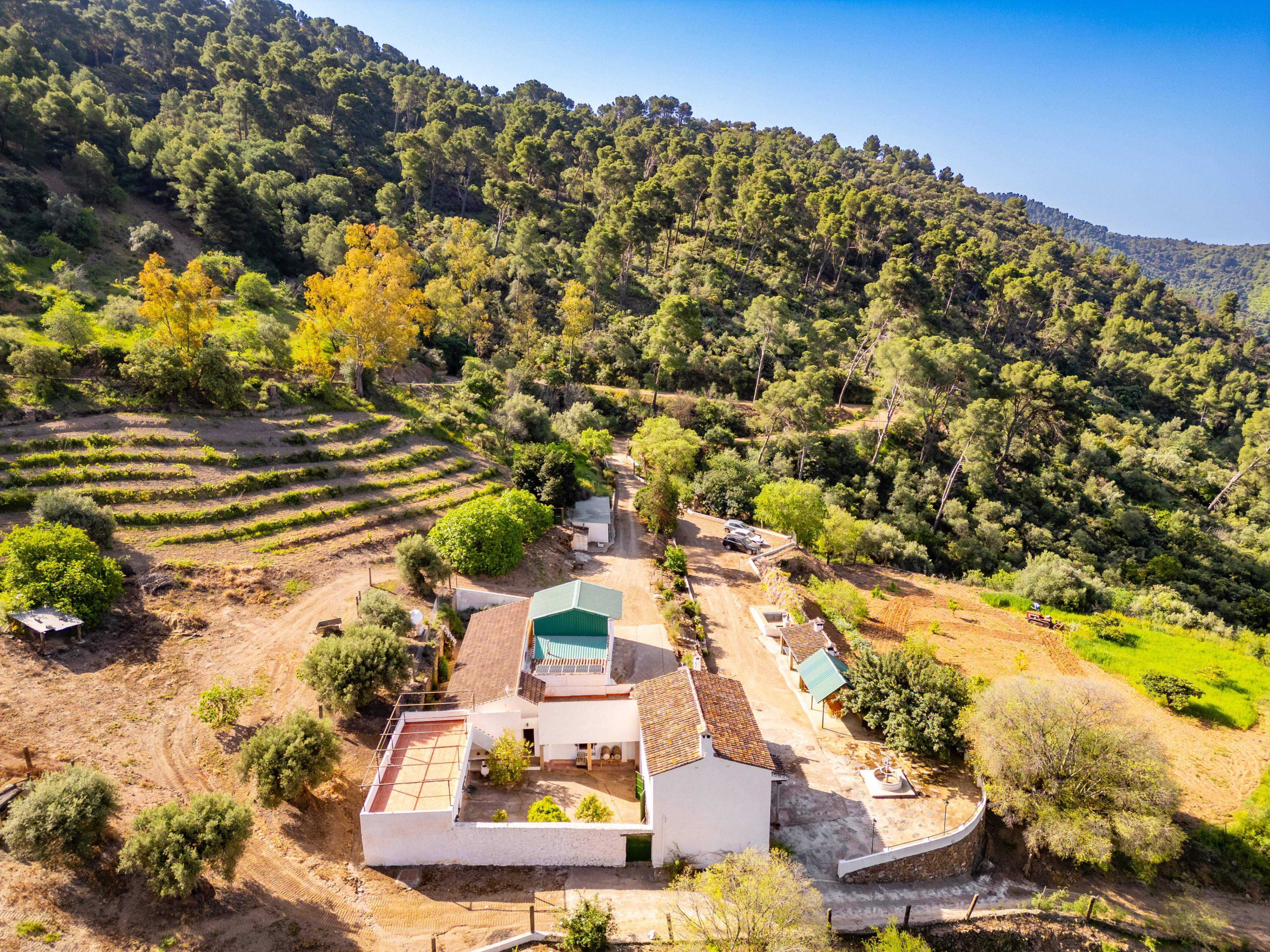 Casas o chalets-Venta-VÃ©lez-MÃ¡laga-2413760-Foto-55