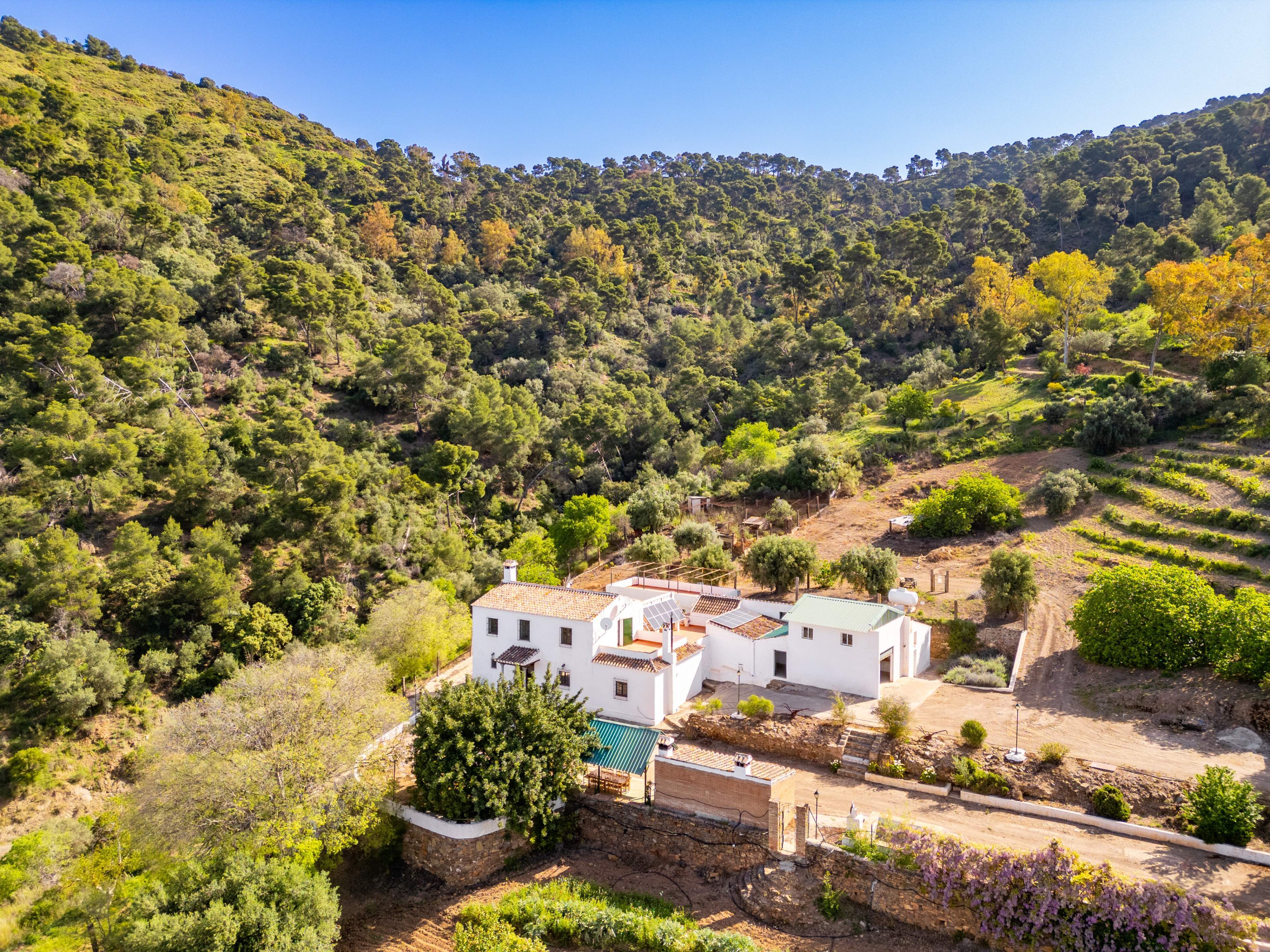 Casas o chalets-Venta-VÃ©lez-MÃ¡laga-2413760-Foto-52