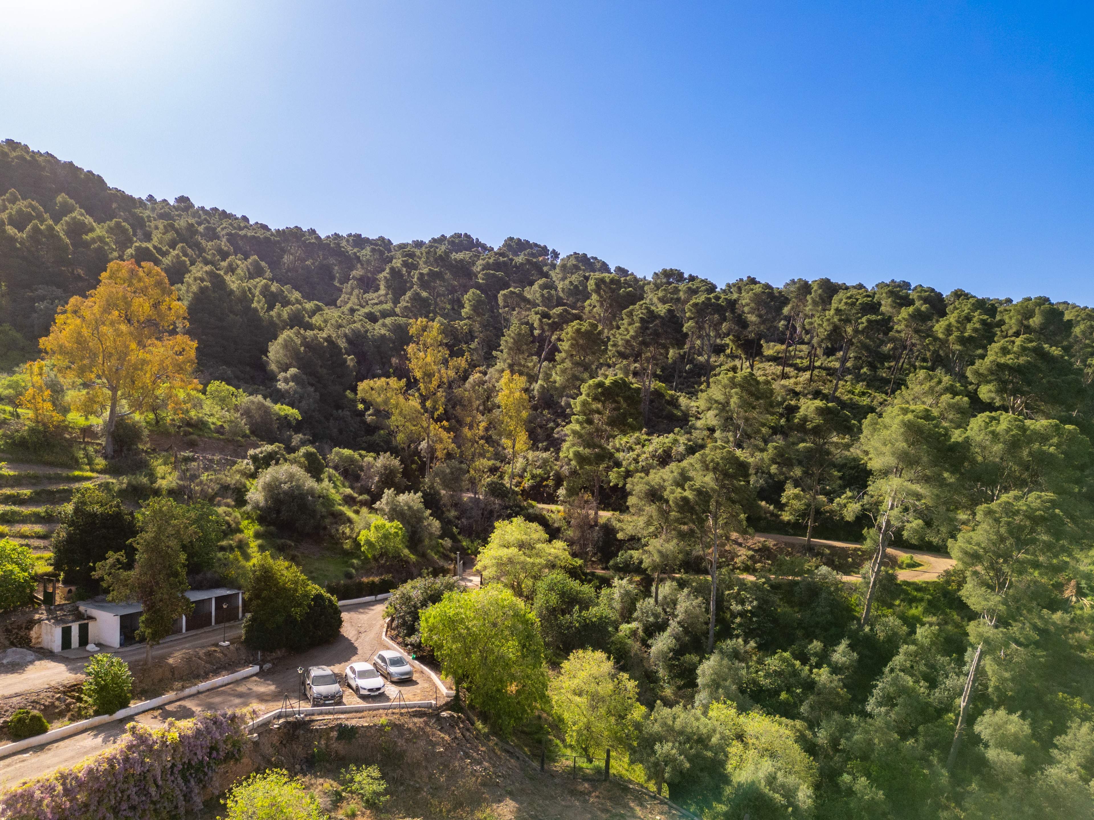 Casas o chalets-Venta-VÃ©lez-MÃ¡laga-2413760-Foto-56