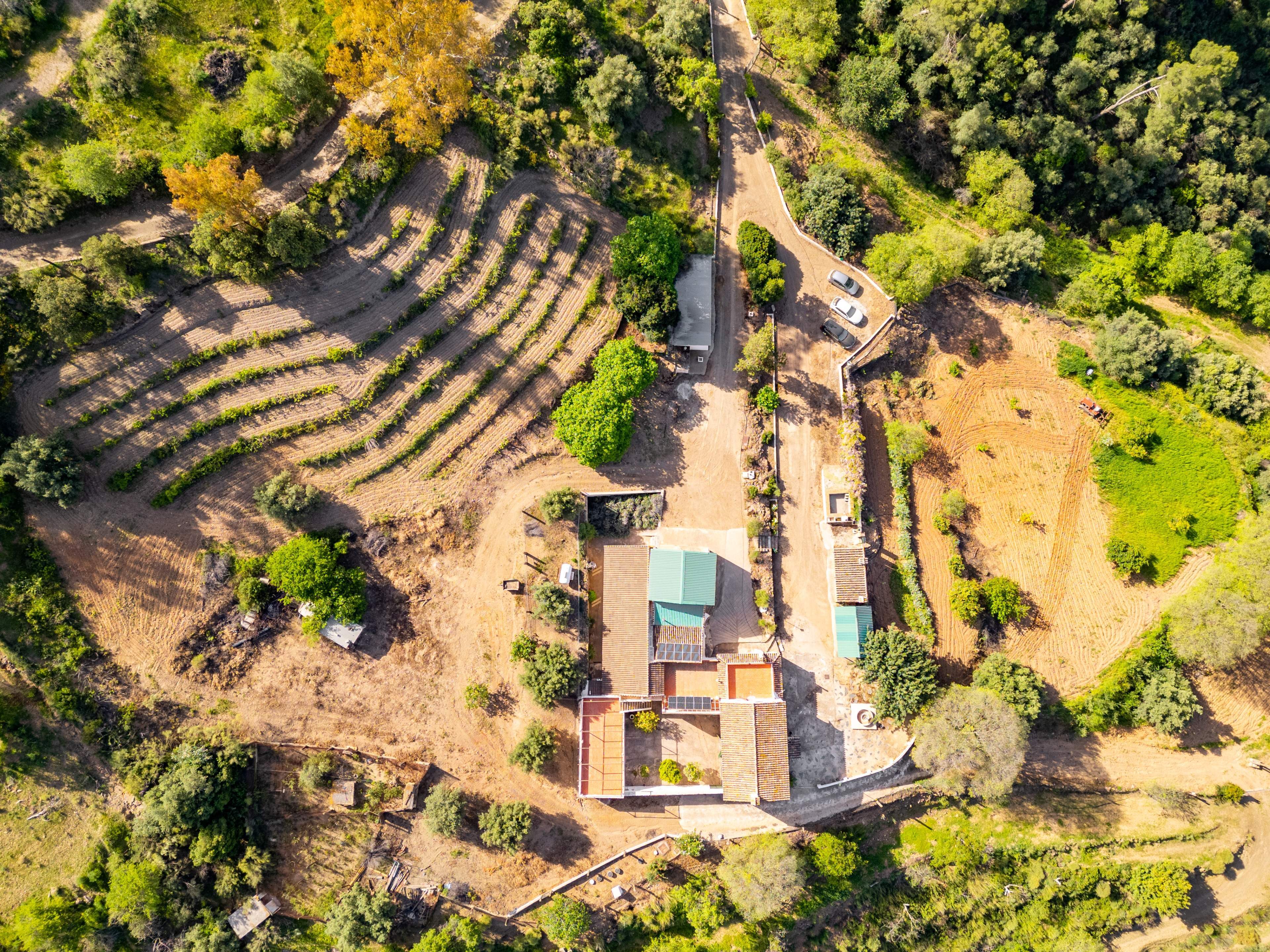 Casas o chalets-Venta-VÃ©lez-MÃ¡laga-2413760-Foto-57