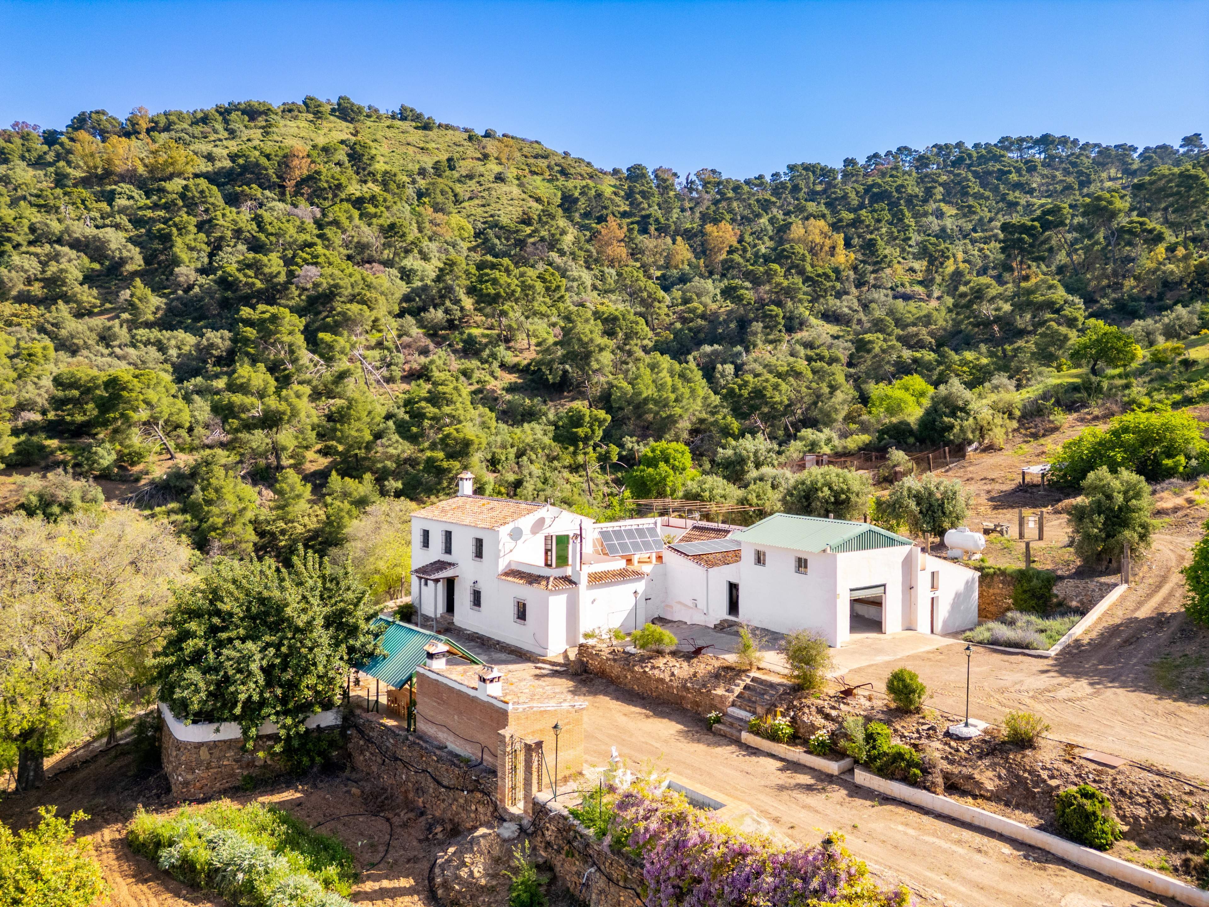 Casas o chalets-Venta-VÃ©lez-MÃ¡laga-2413760-Foto-59