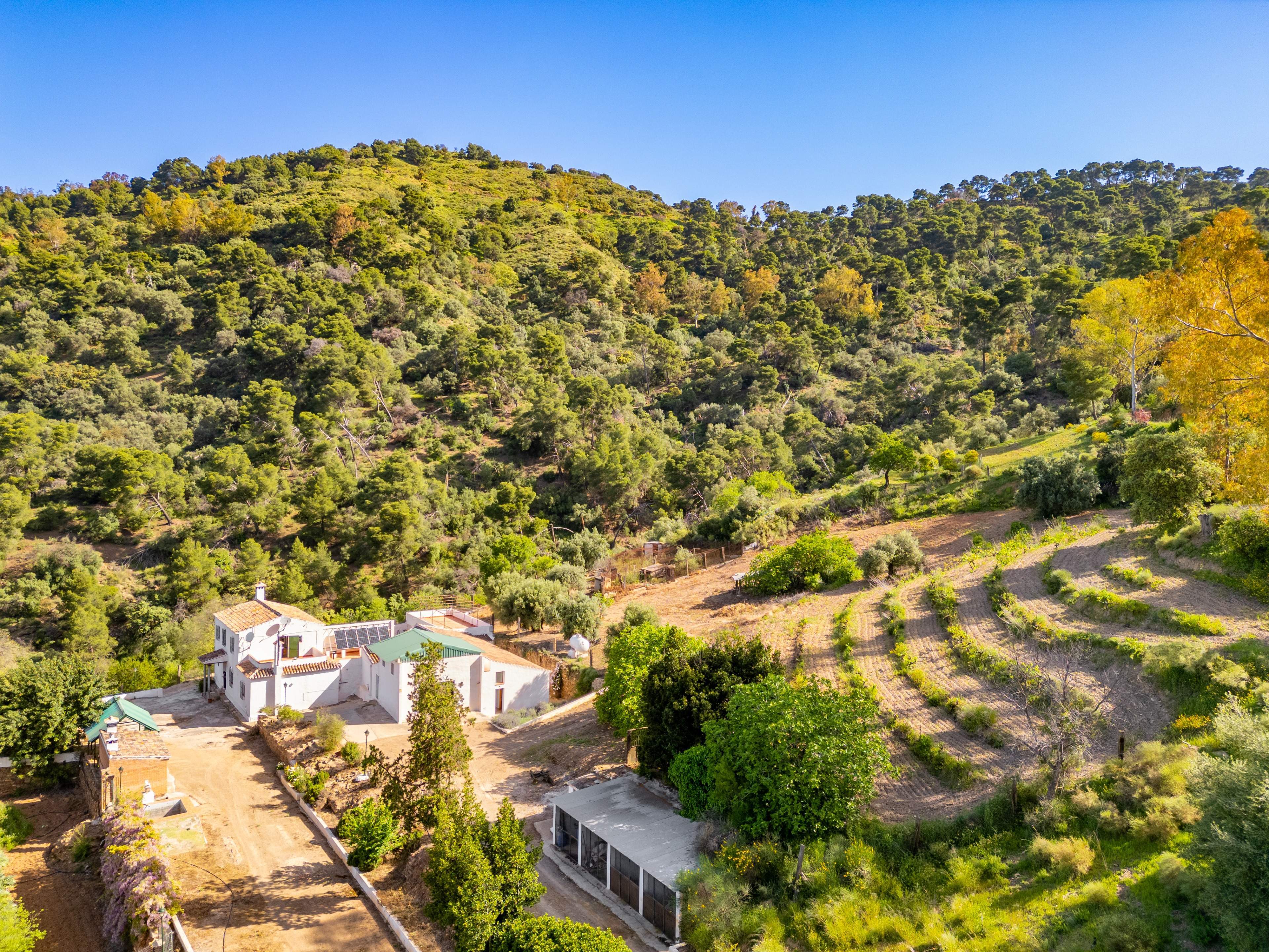 Casas o chalets-Venta-VÃ©lez-MÃ¡laga-2413760-Foto-58