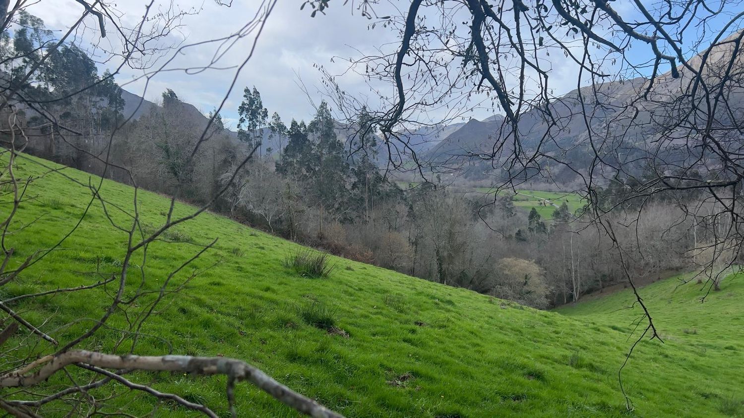 Suelo en venta, Puente Nuevo