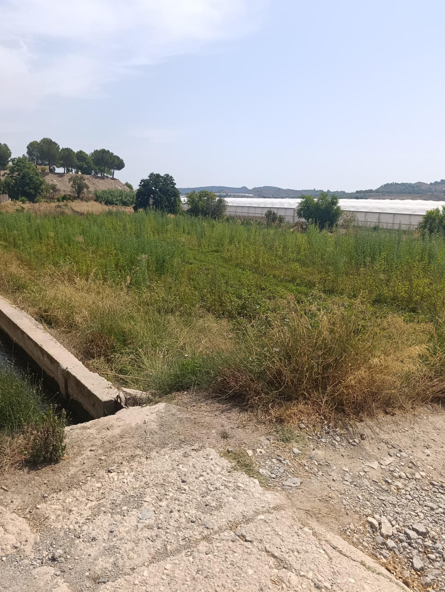 Suelo en venta, Cehegín, Murcia
