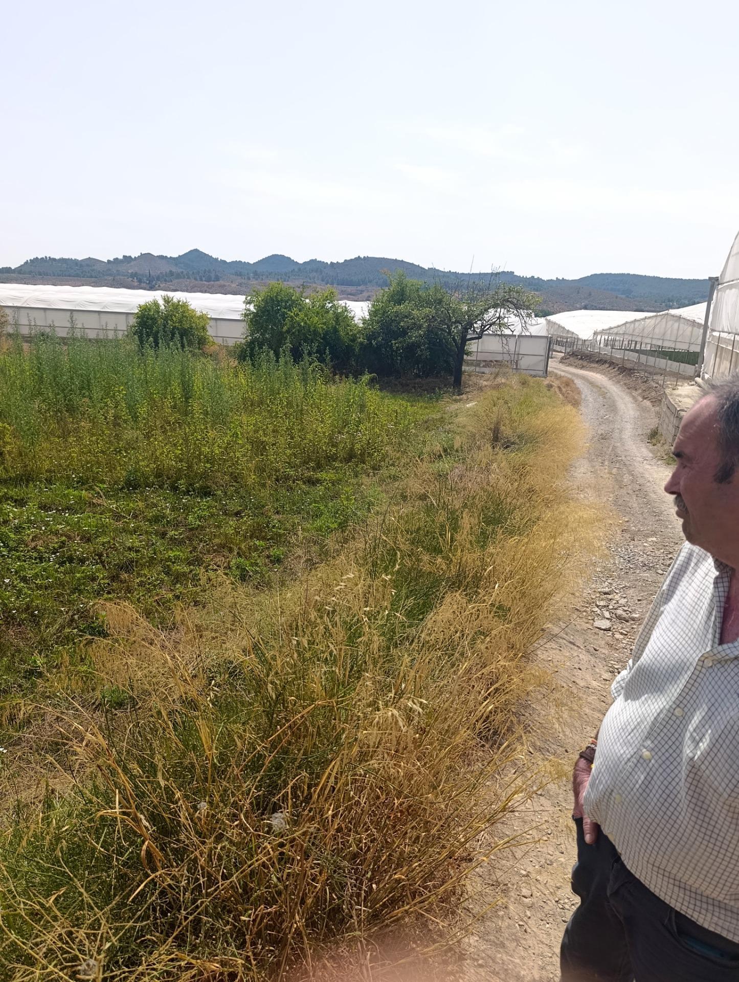 Suelo en venta, Cehegín, Murcia