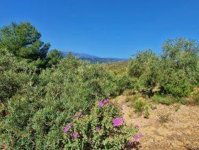 Suelo en venta, Jayena, Granada, Granada