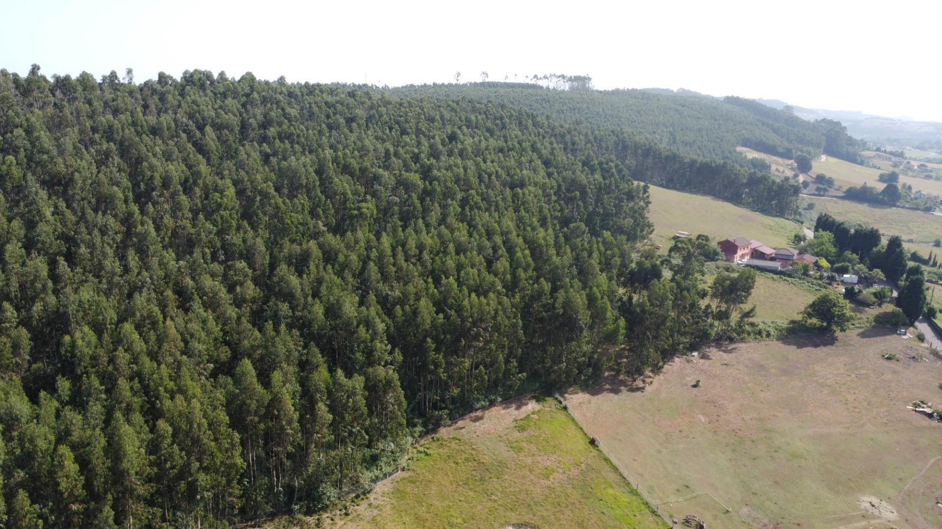Casas o chalets-Venta-GijÃ³n-2413418-Foto-67