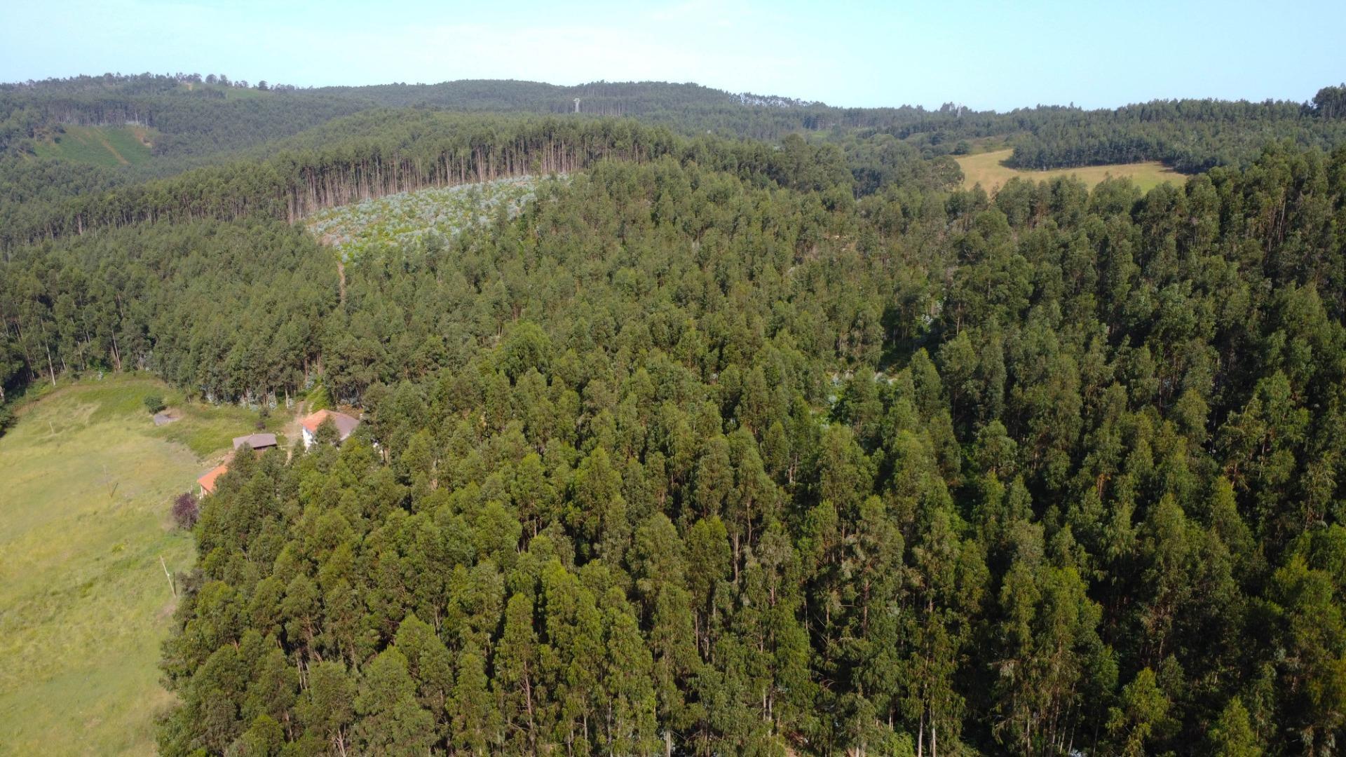 Casas o chalets-Venta-GijÃ³n-2413418-Foto-69