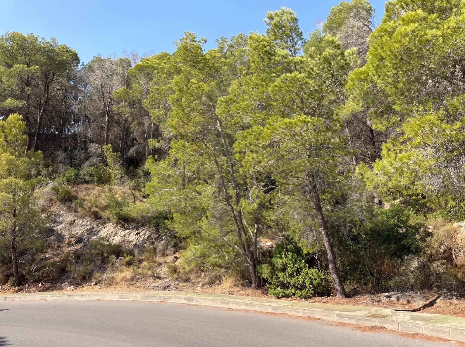 Suelo en venta, Altea, Alicante/Alacant